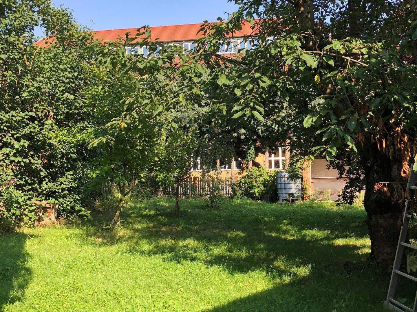 Bild 7