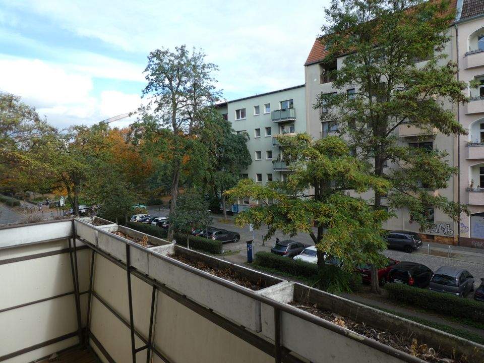 Bild 7