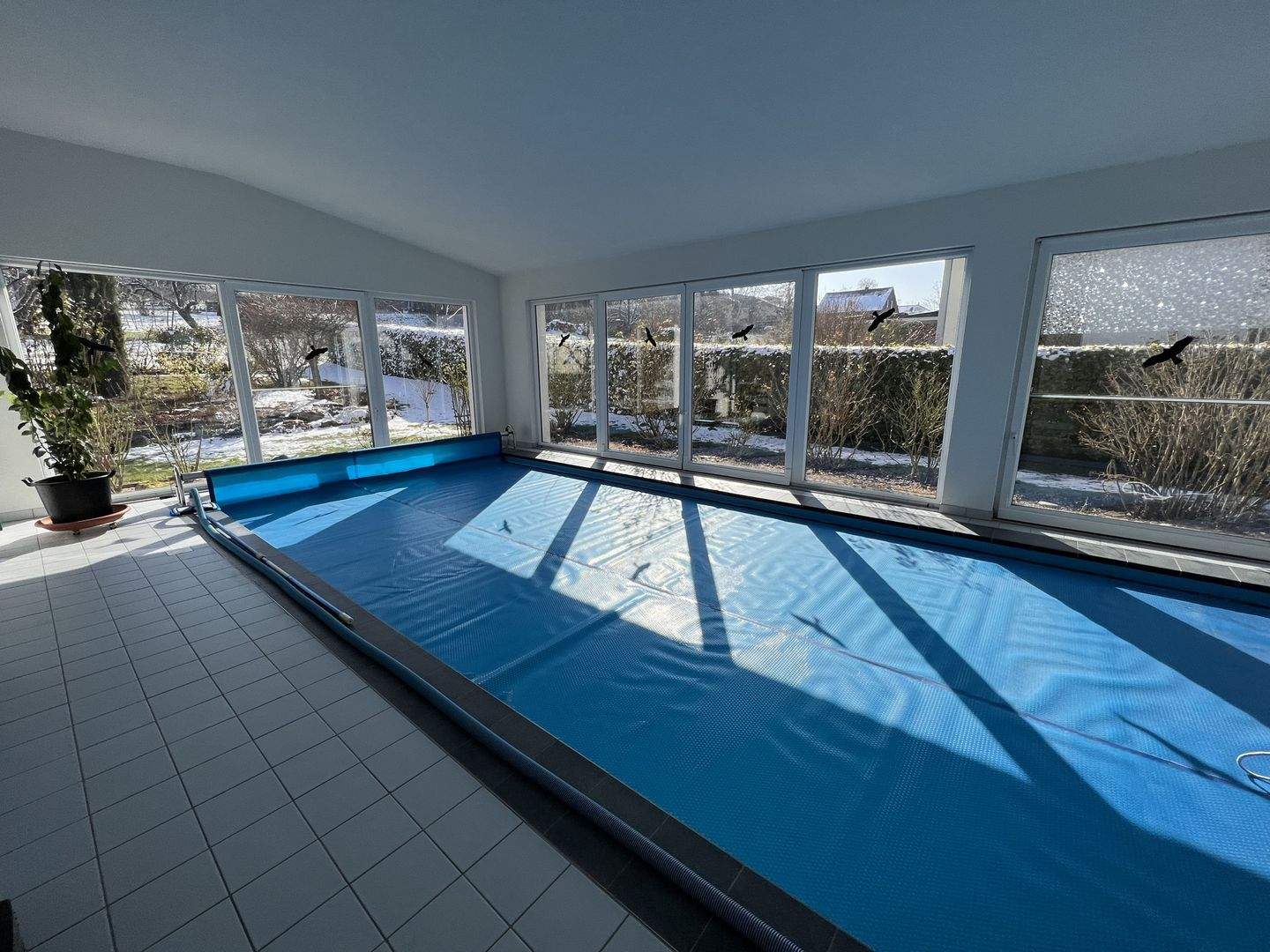Bild 9