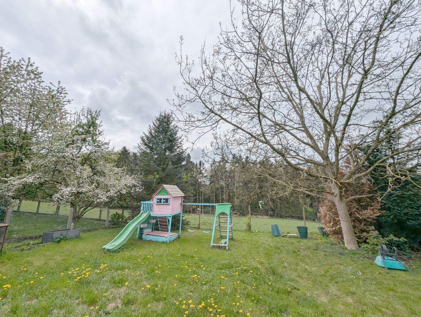 Bild 11