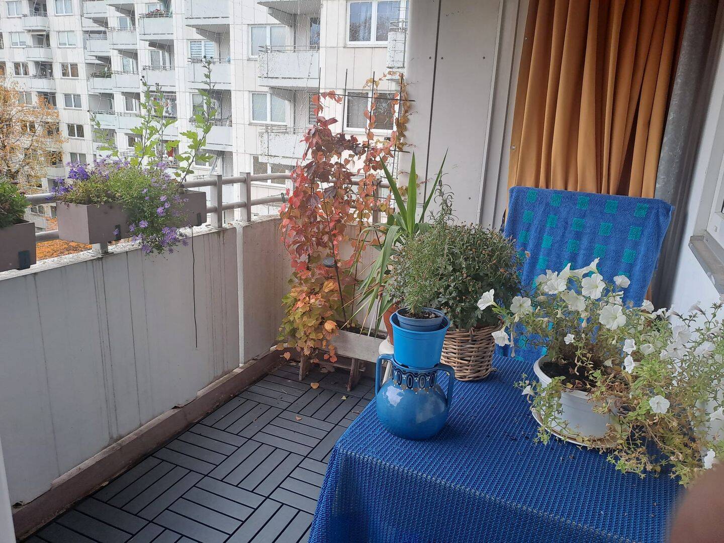 Bild 6