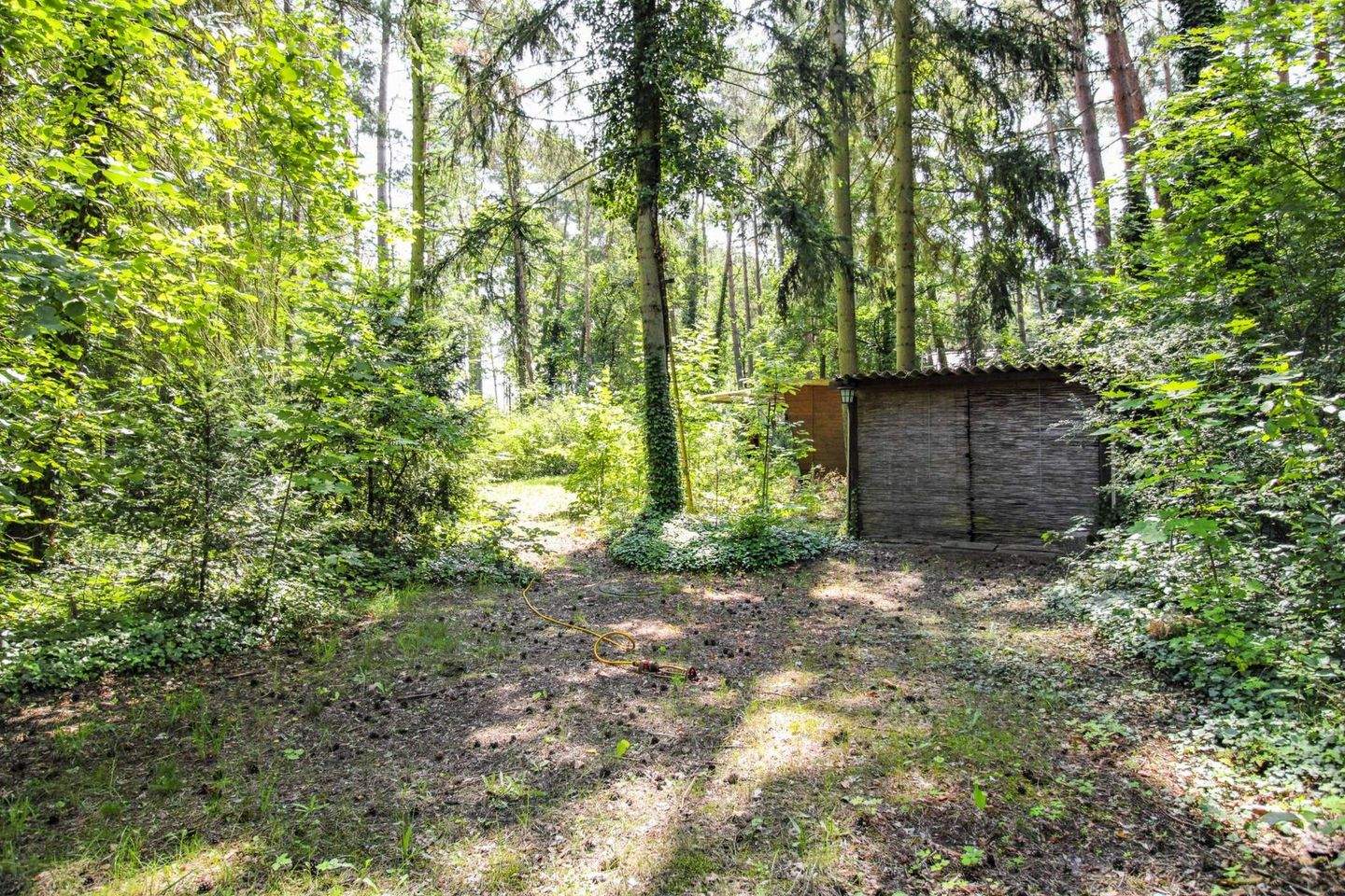 Bild 4