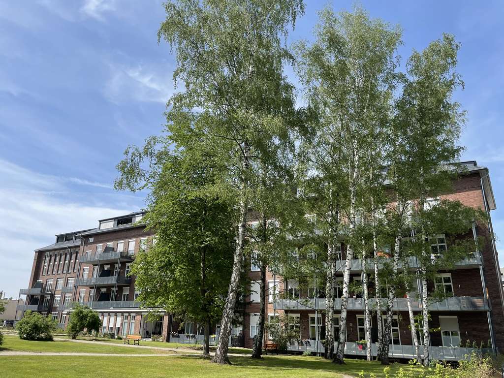 Bild 5