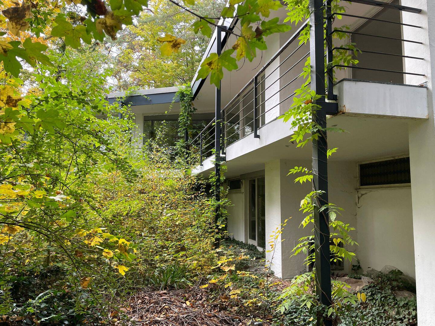 Bild 5