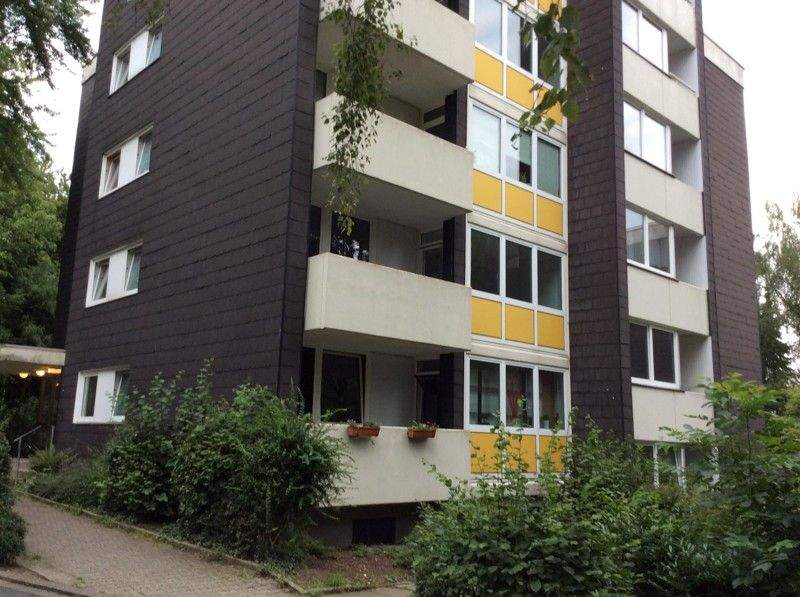 image-70205304
