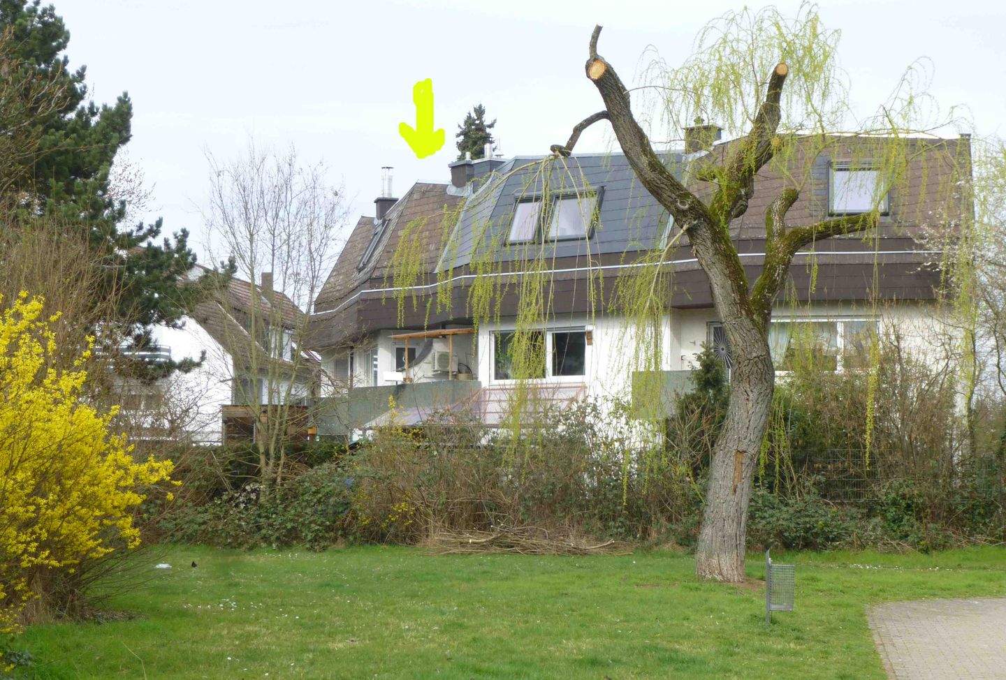 Bild 7