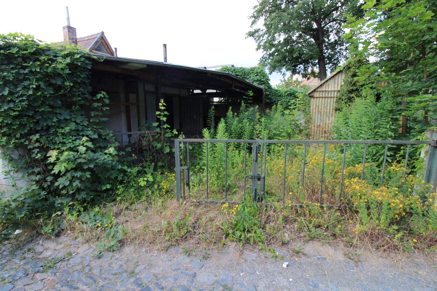Bild 8