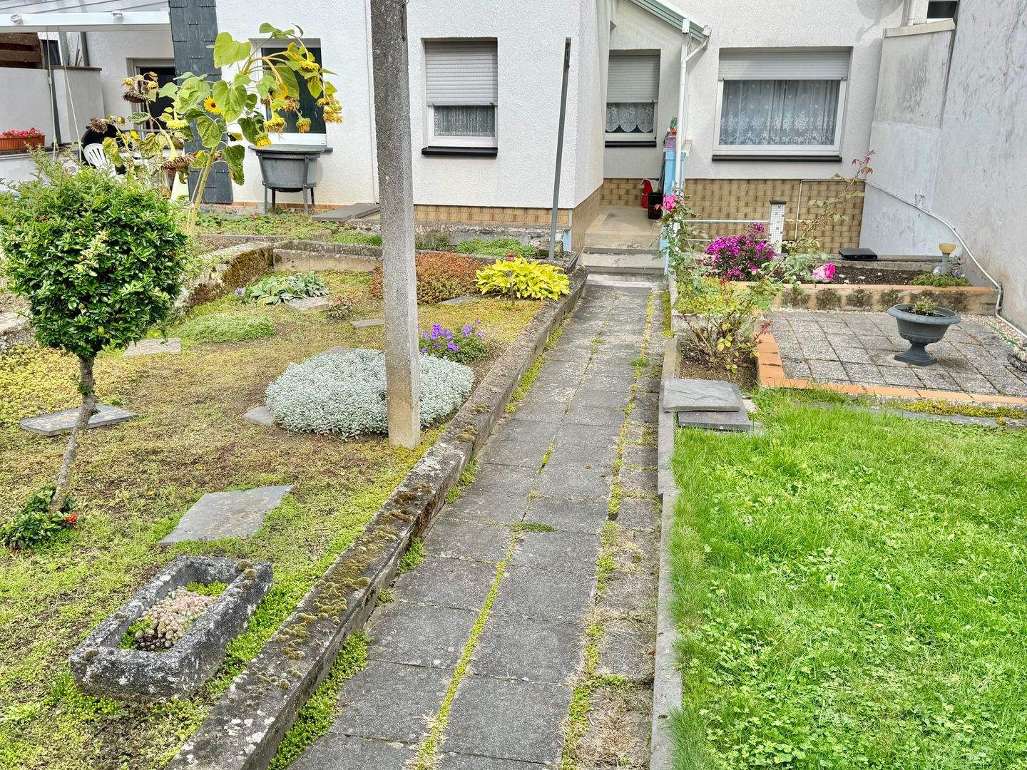 Bild 5