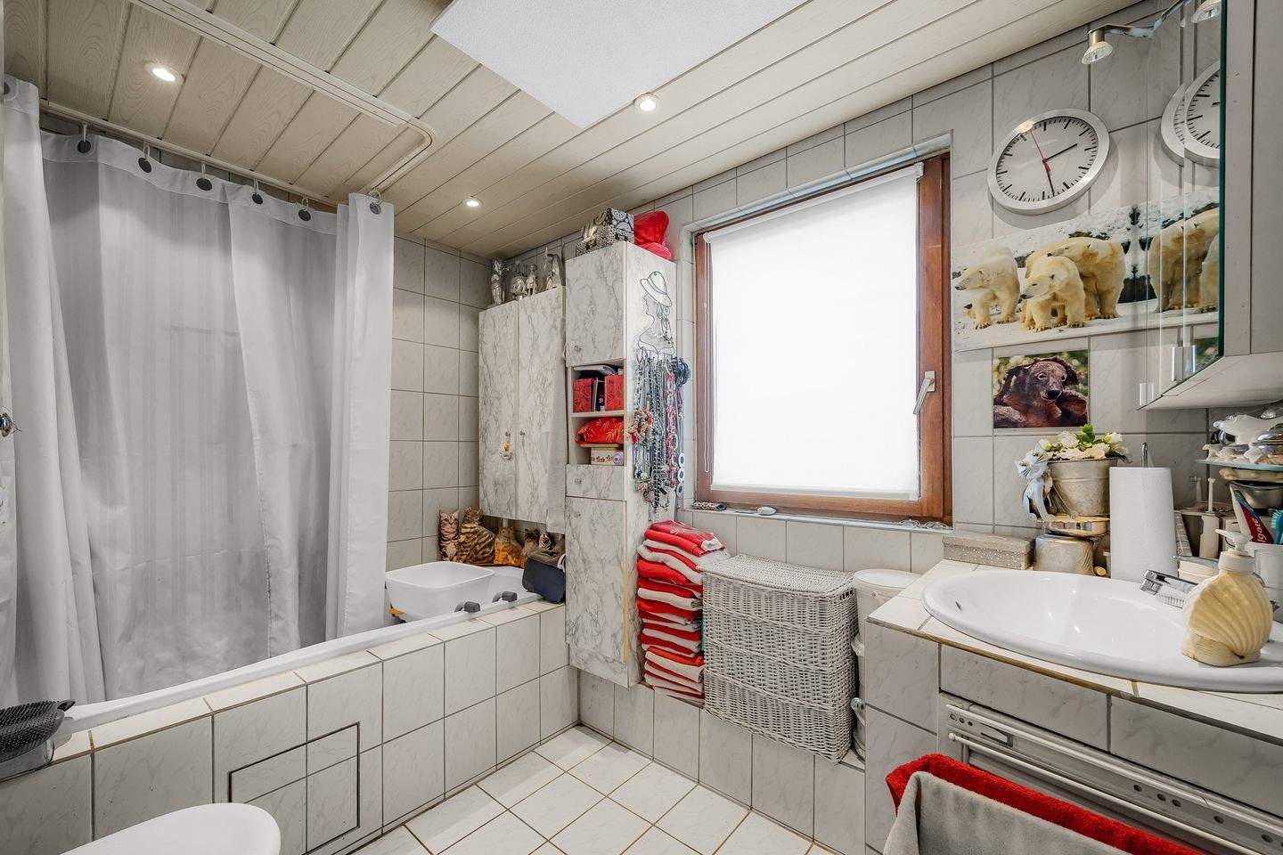 Bild 11
