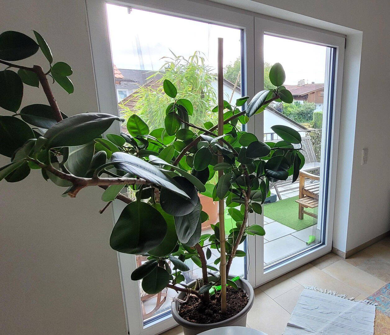 Bild 5