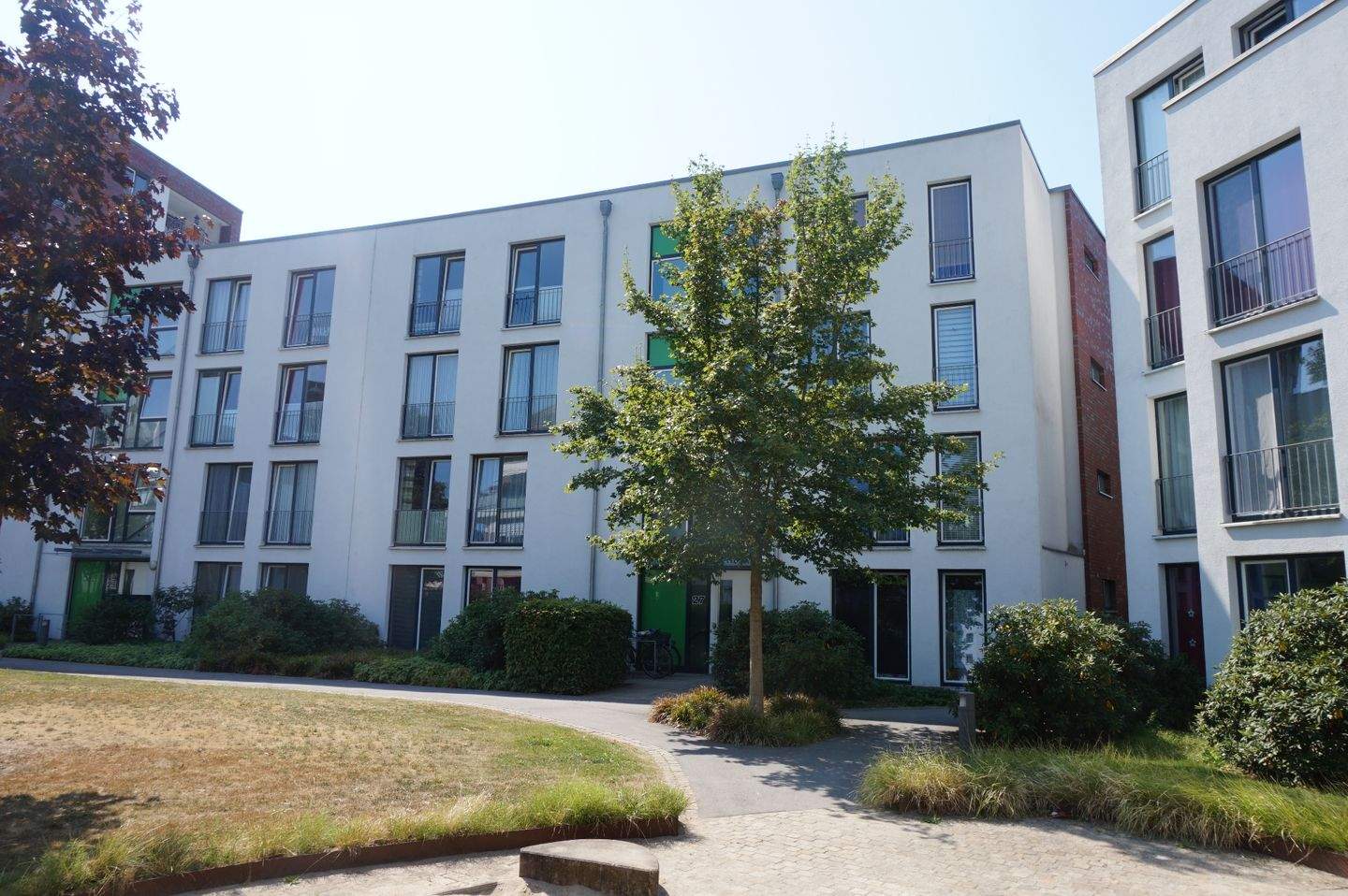 Bild 7