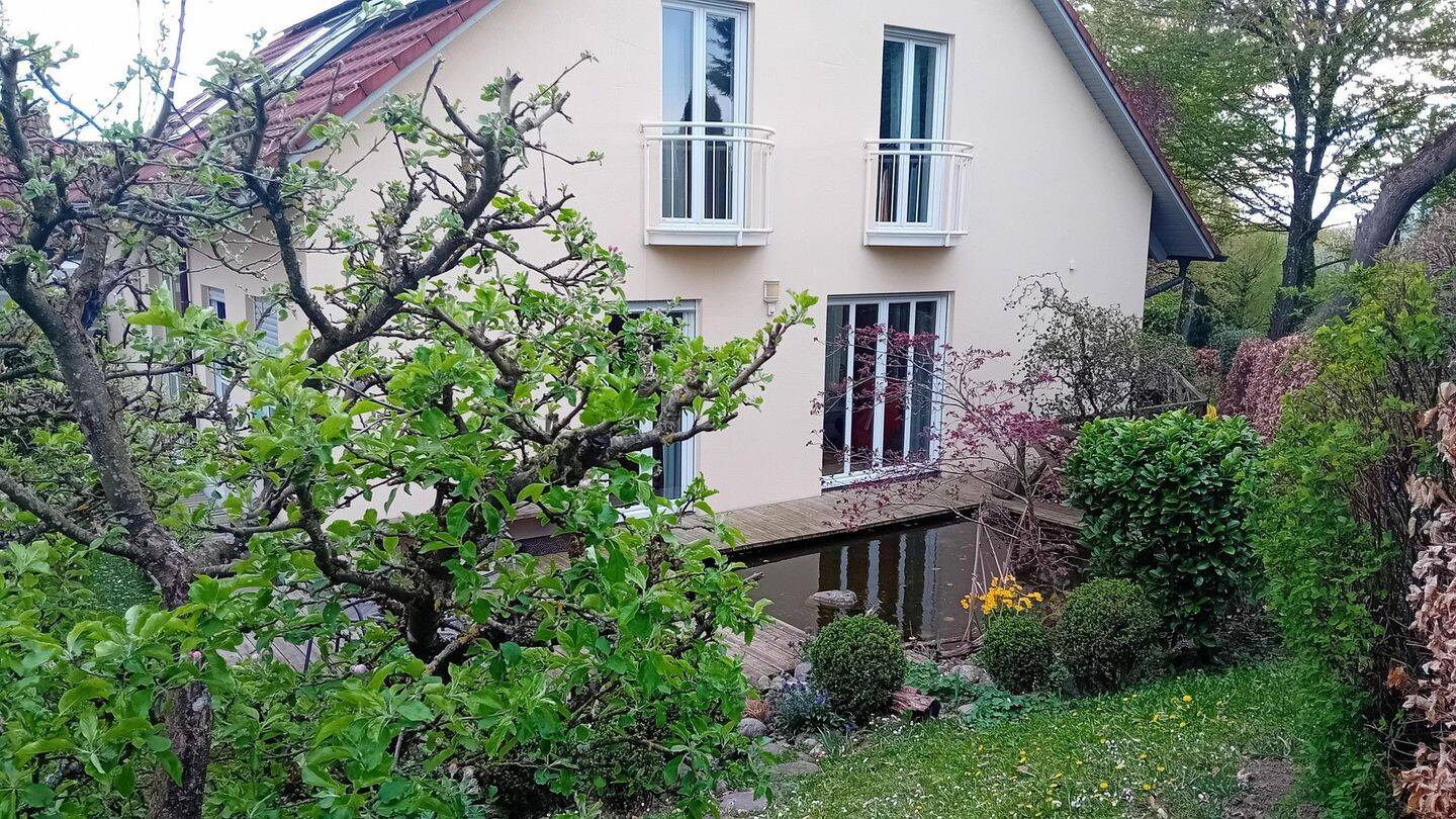 Bild 7
