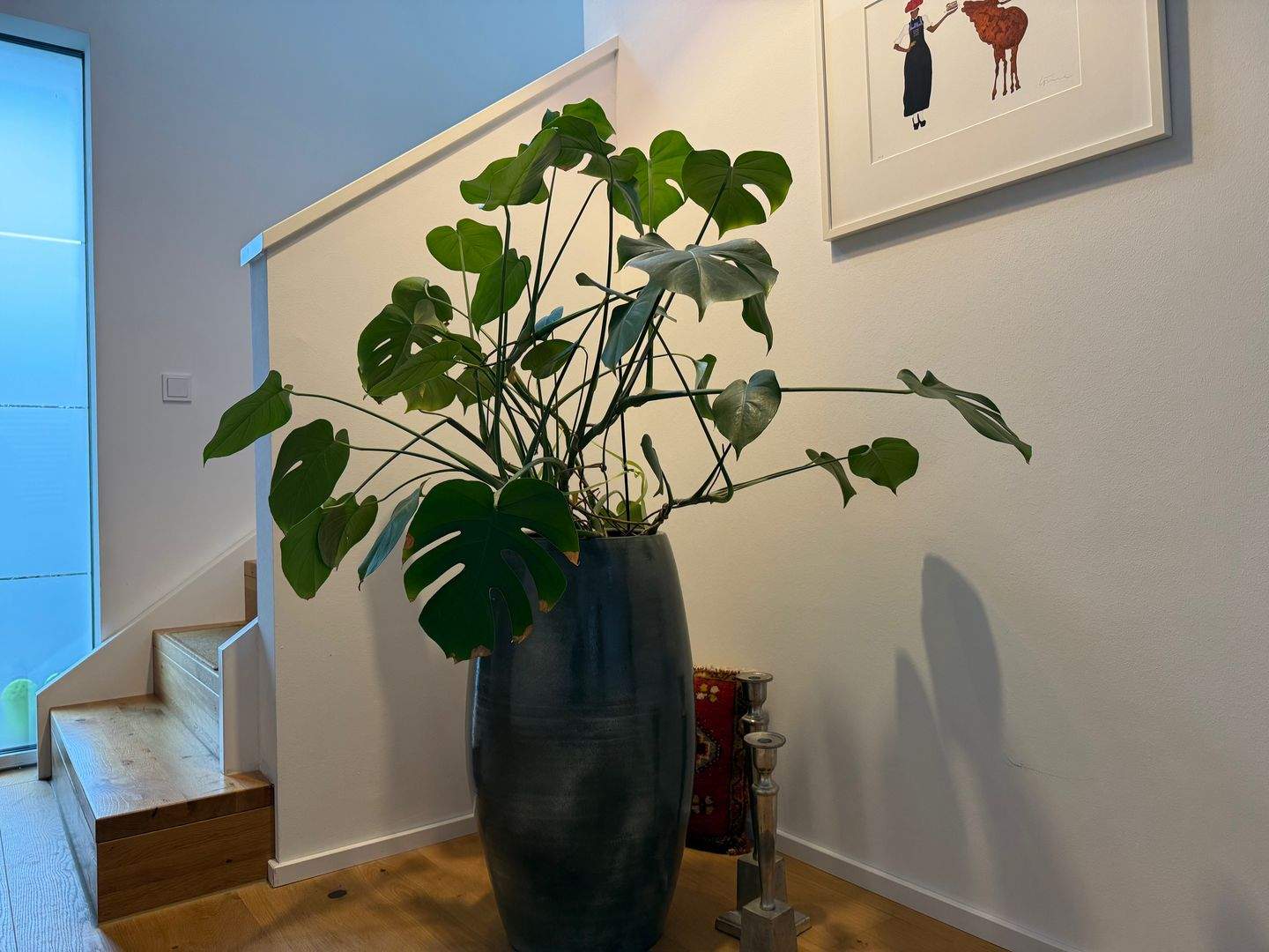 Bild 7