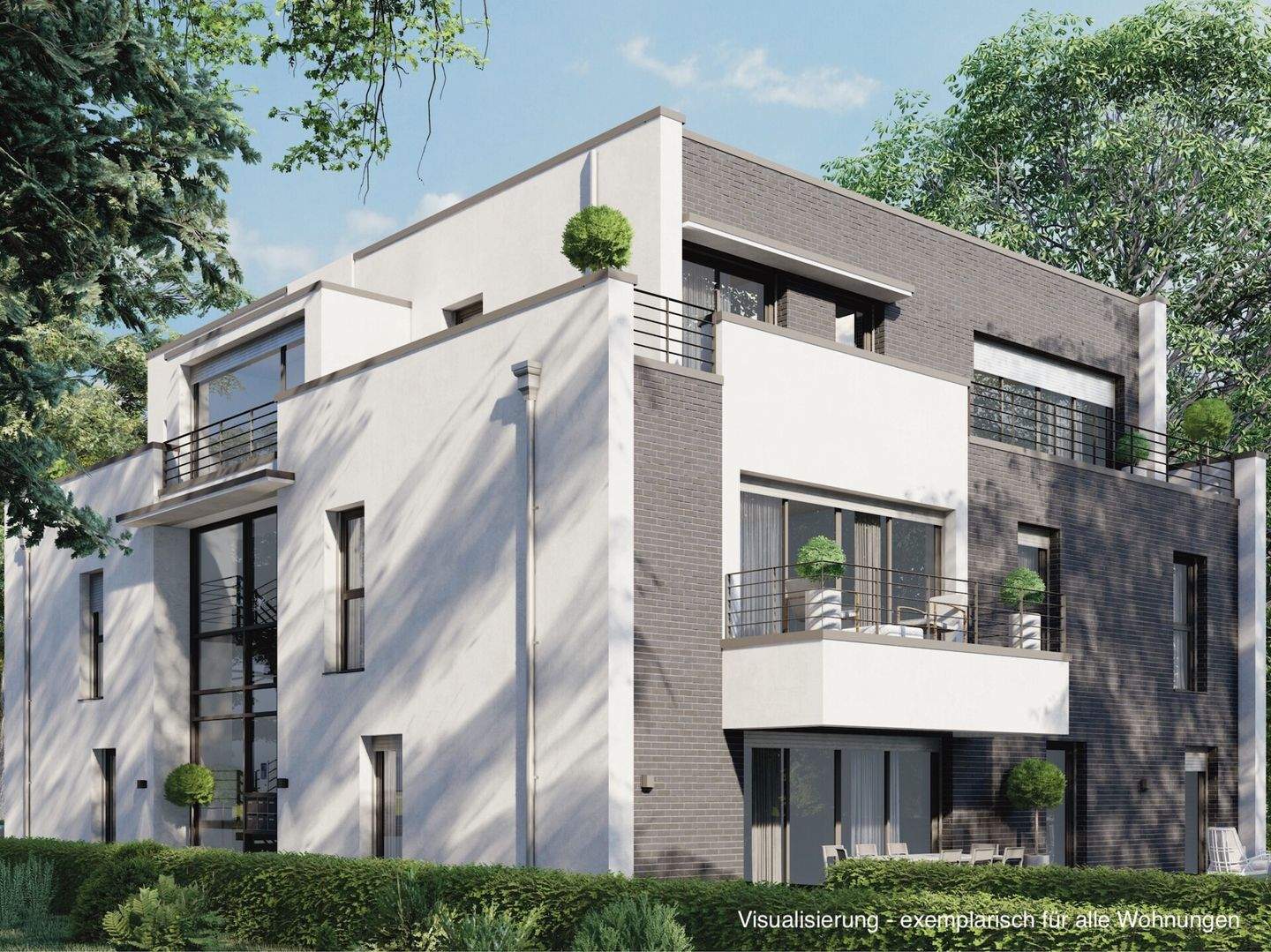 Bild 5