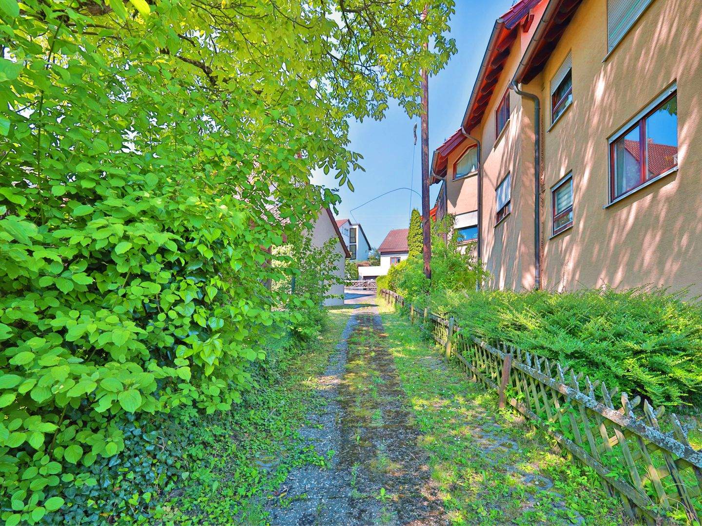 Bild 5