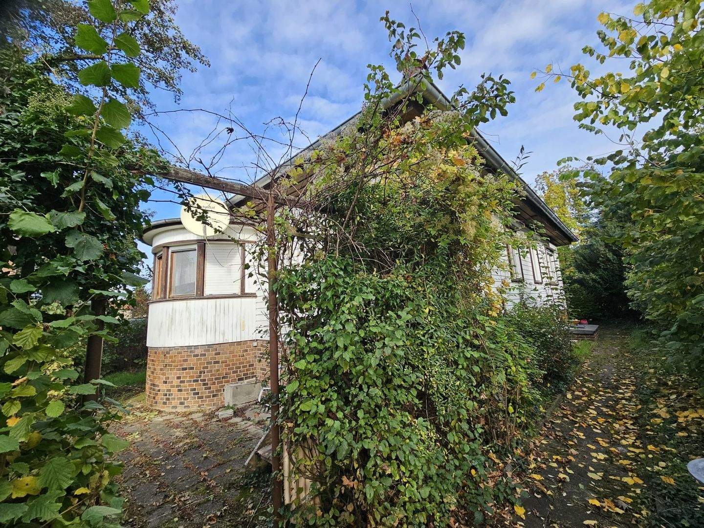 Bild 5