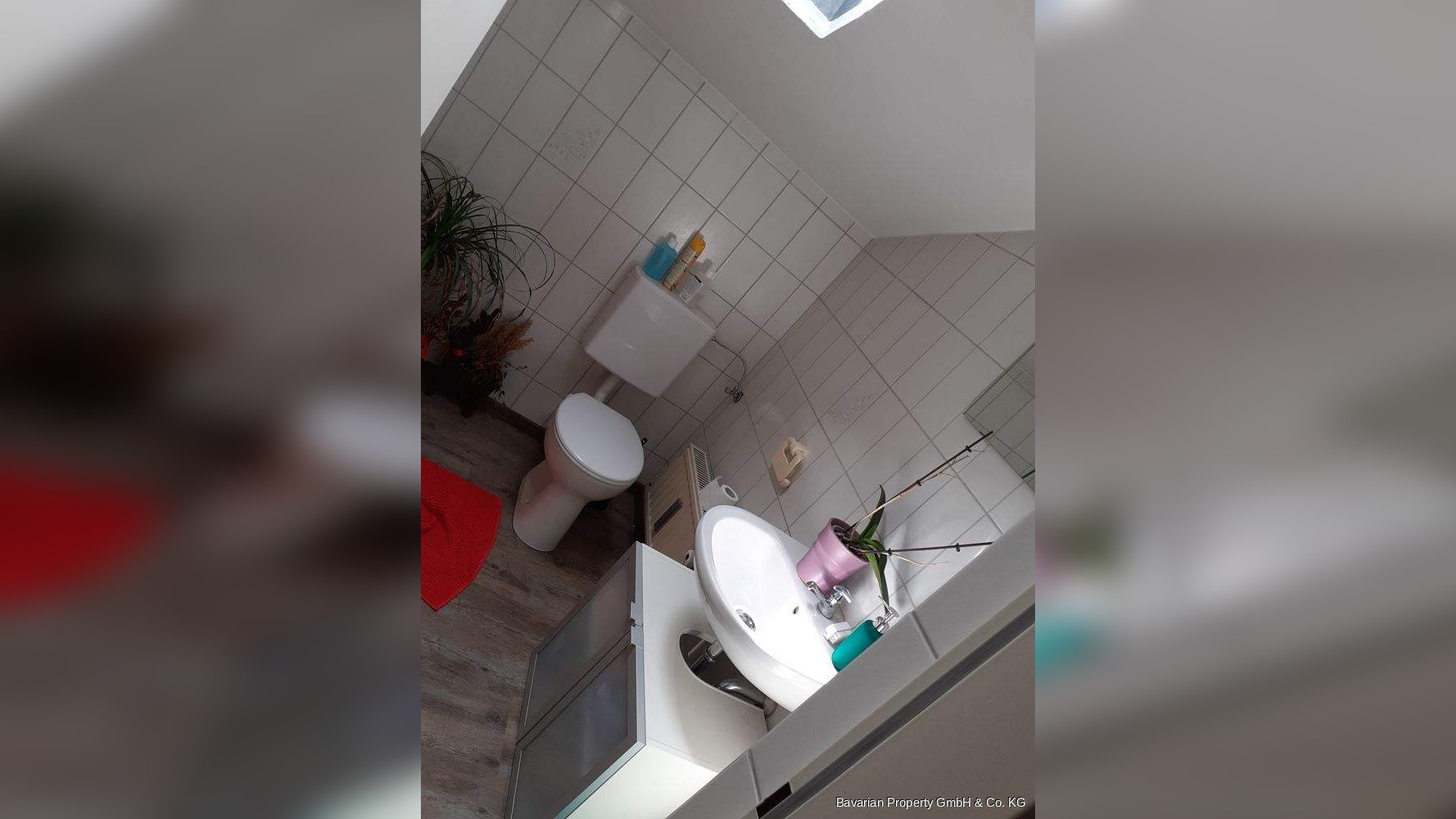 Bild 5