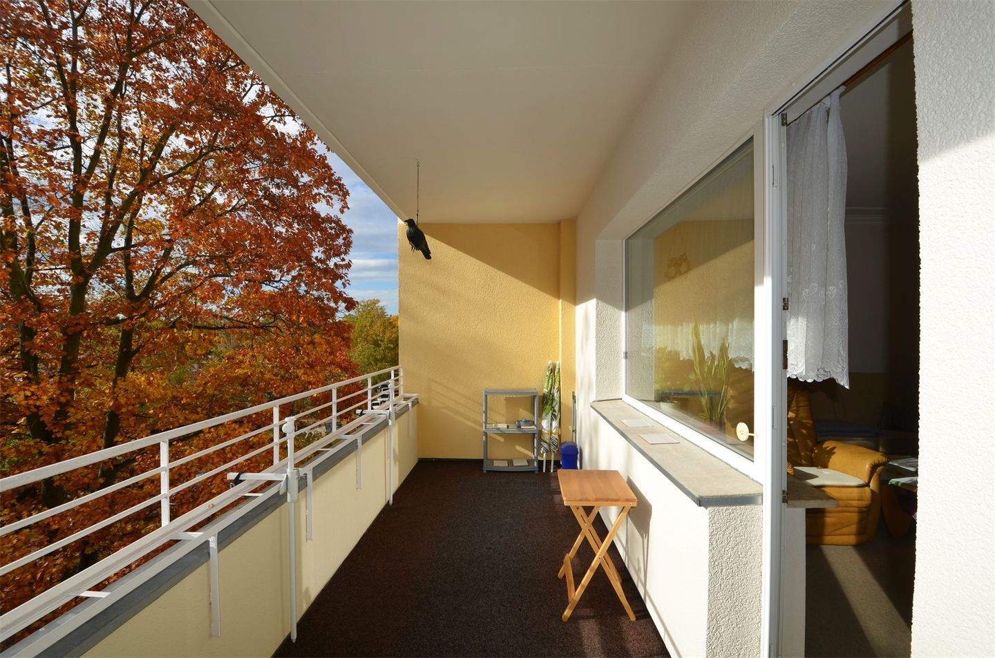 Bild 6