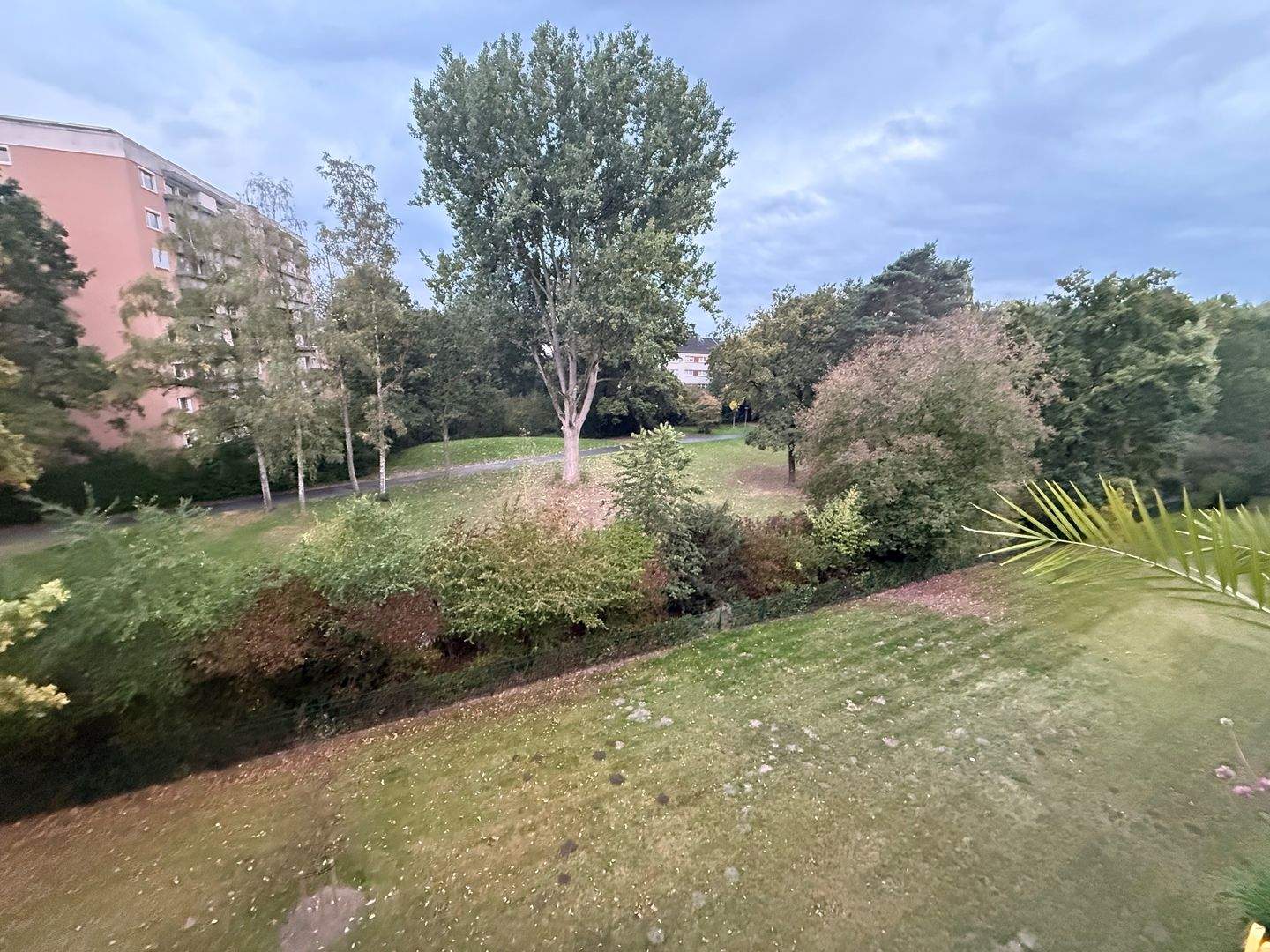 Bild 11
