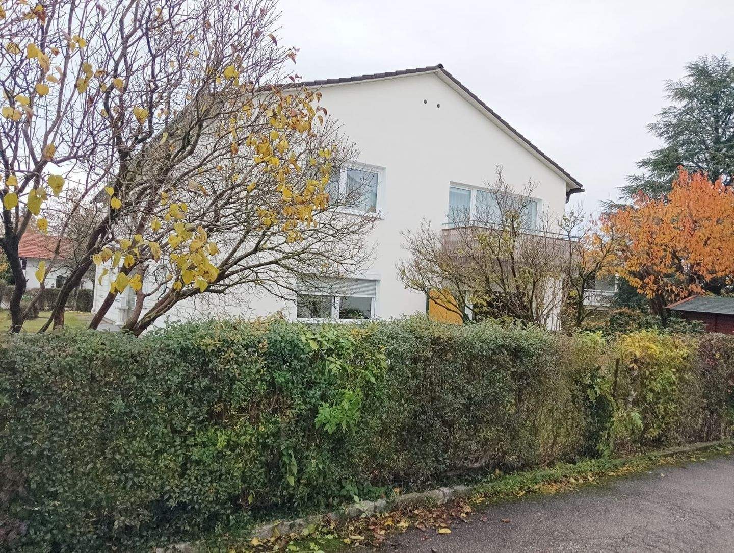 Bild 8