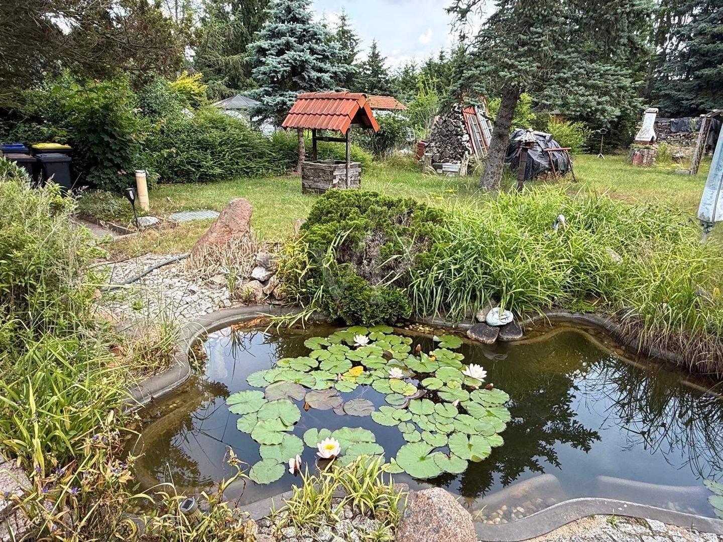 Bild 11