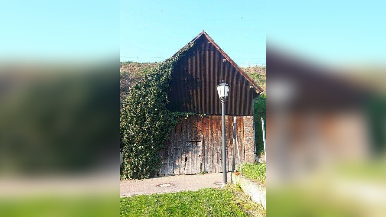 Bild 9