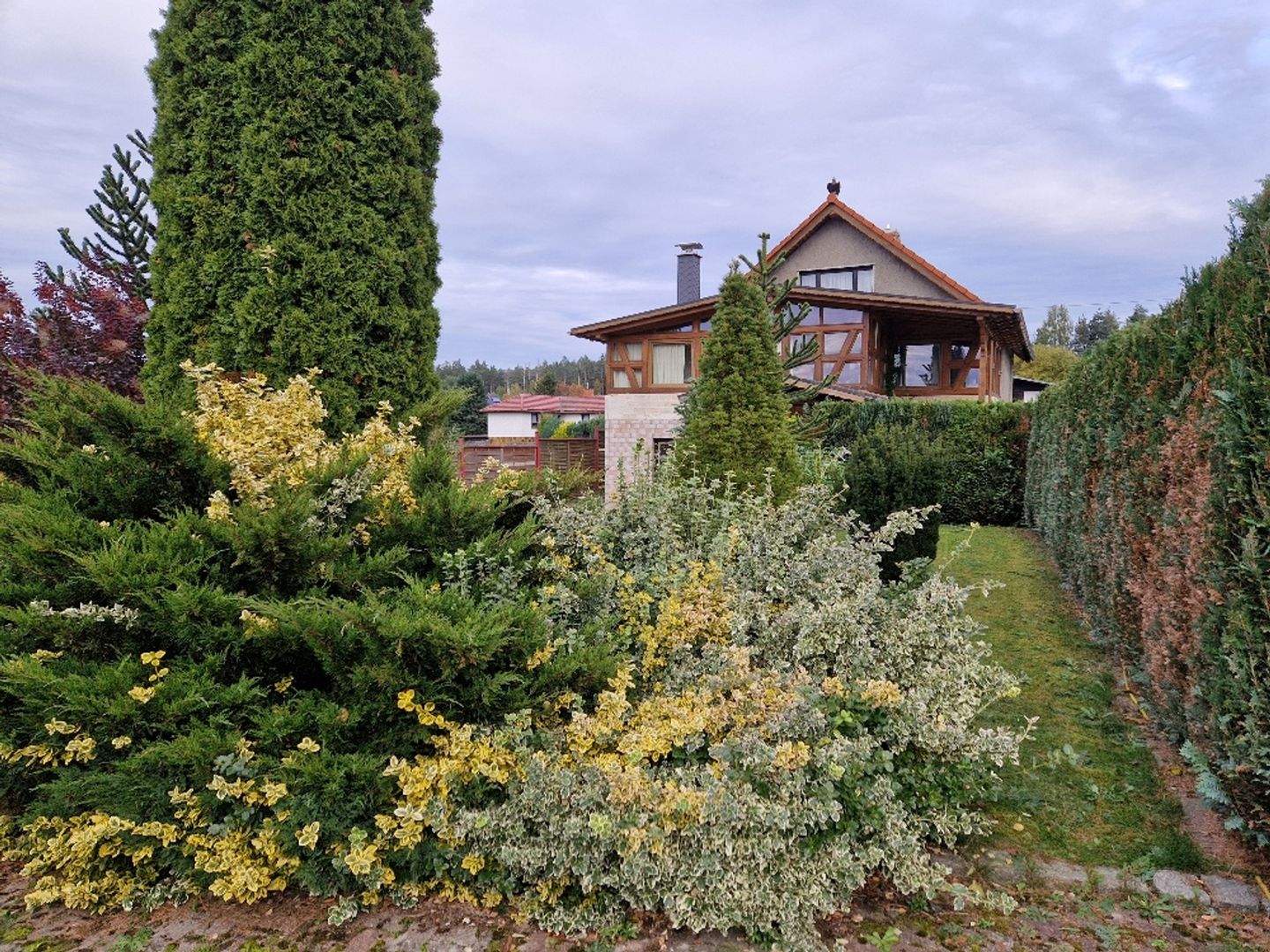 Bild 7
