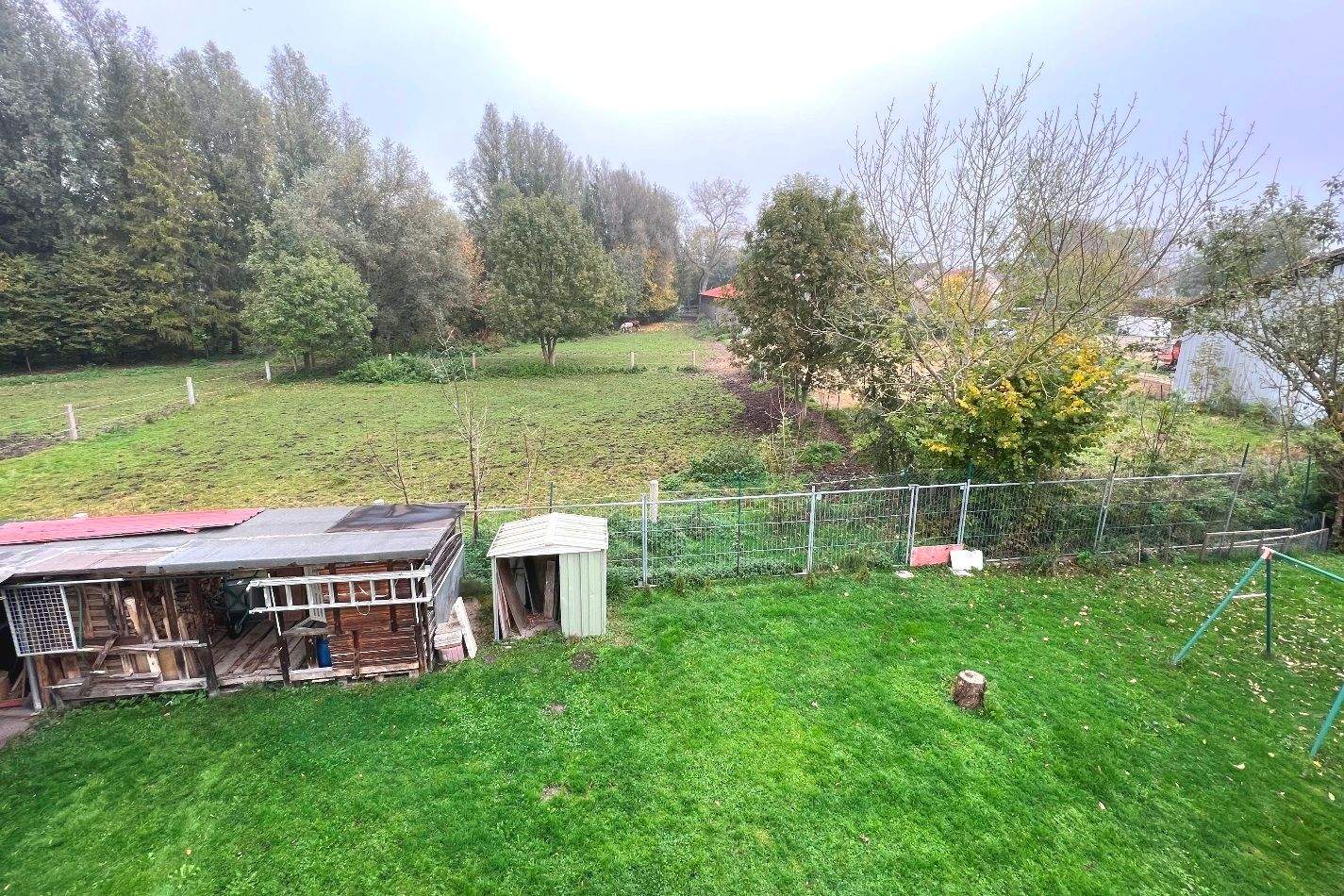 Bild 11