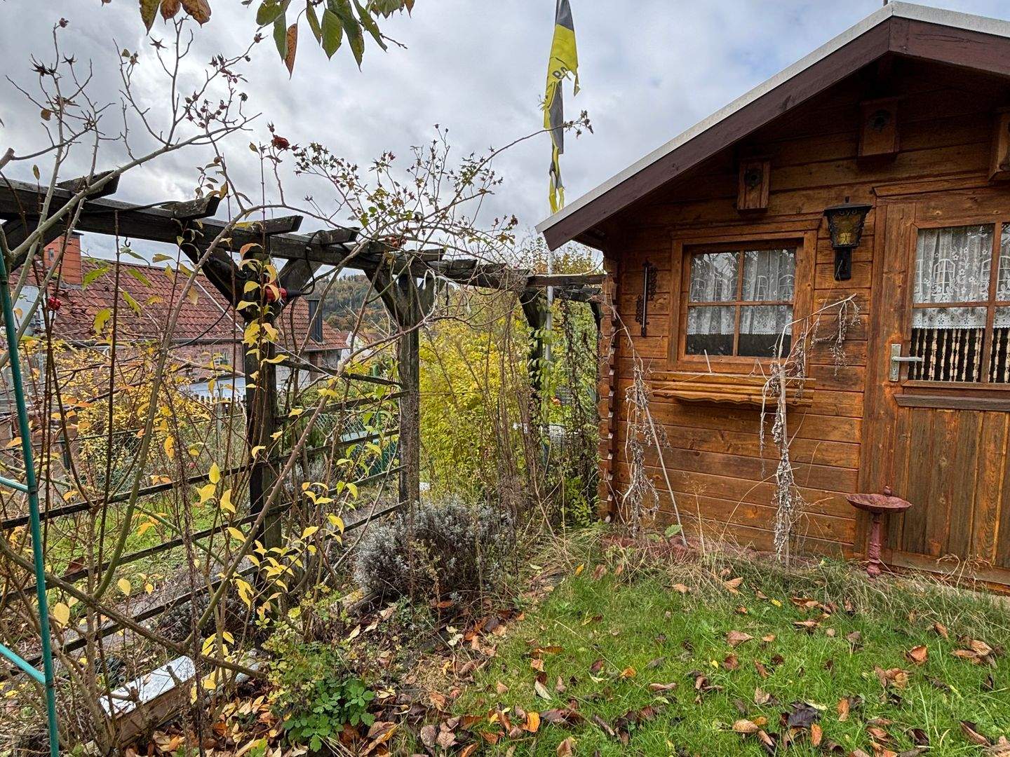 Bild 10