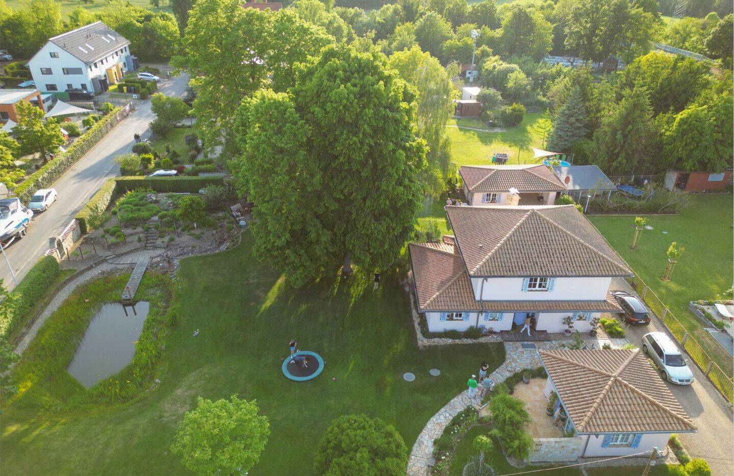 Bild 5