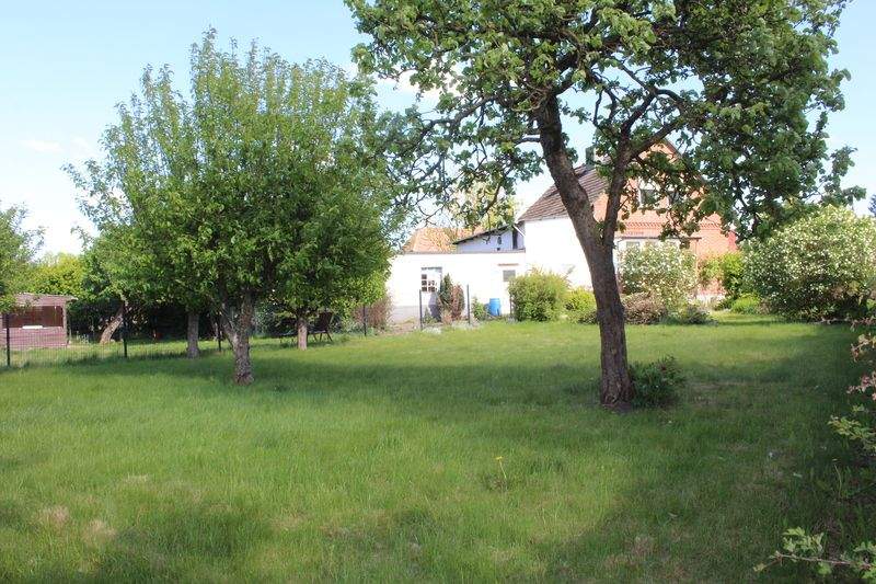 Bild 11