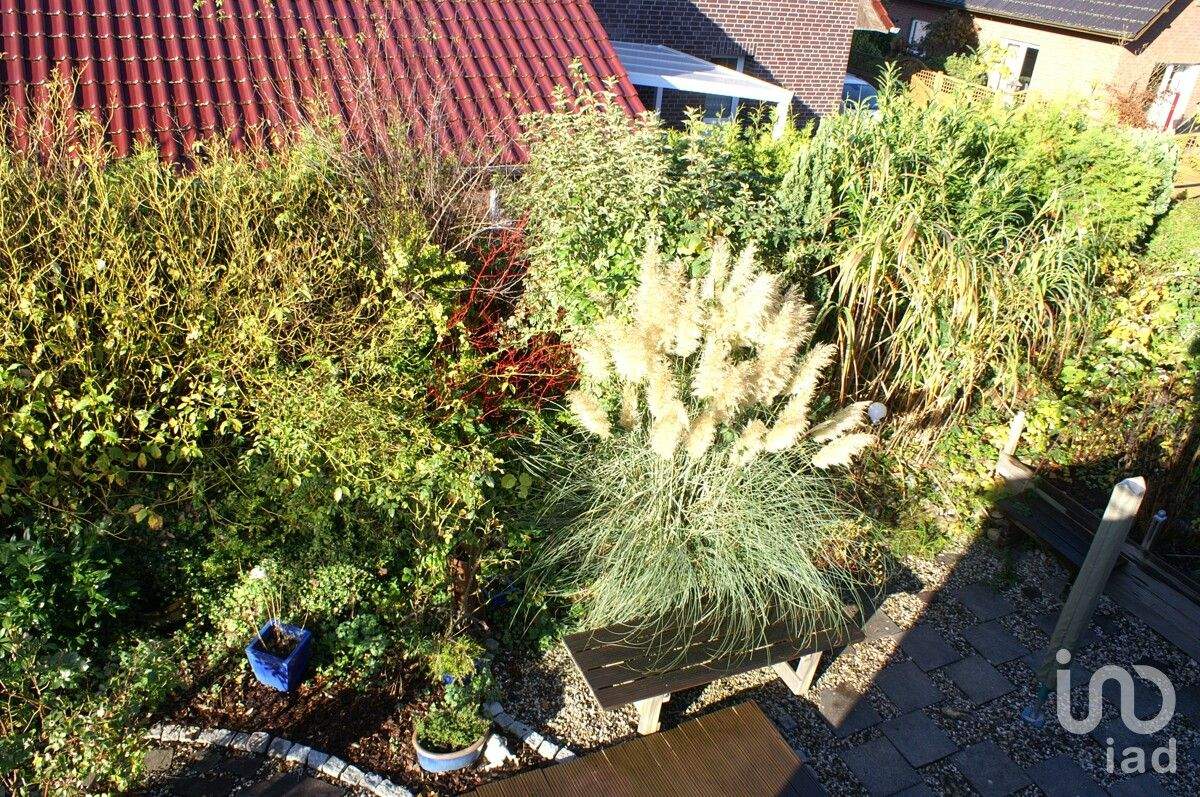 Bild 11