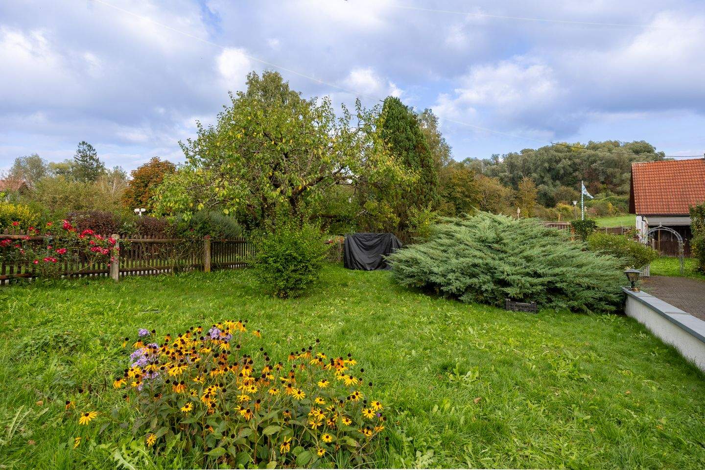 Bild 11