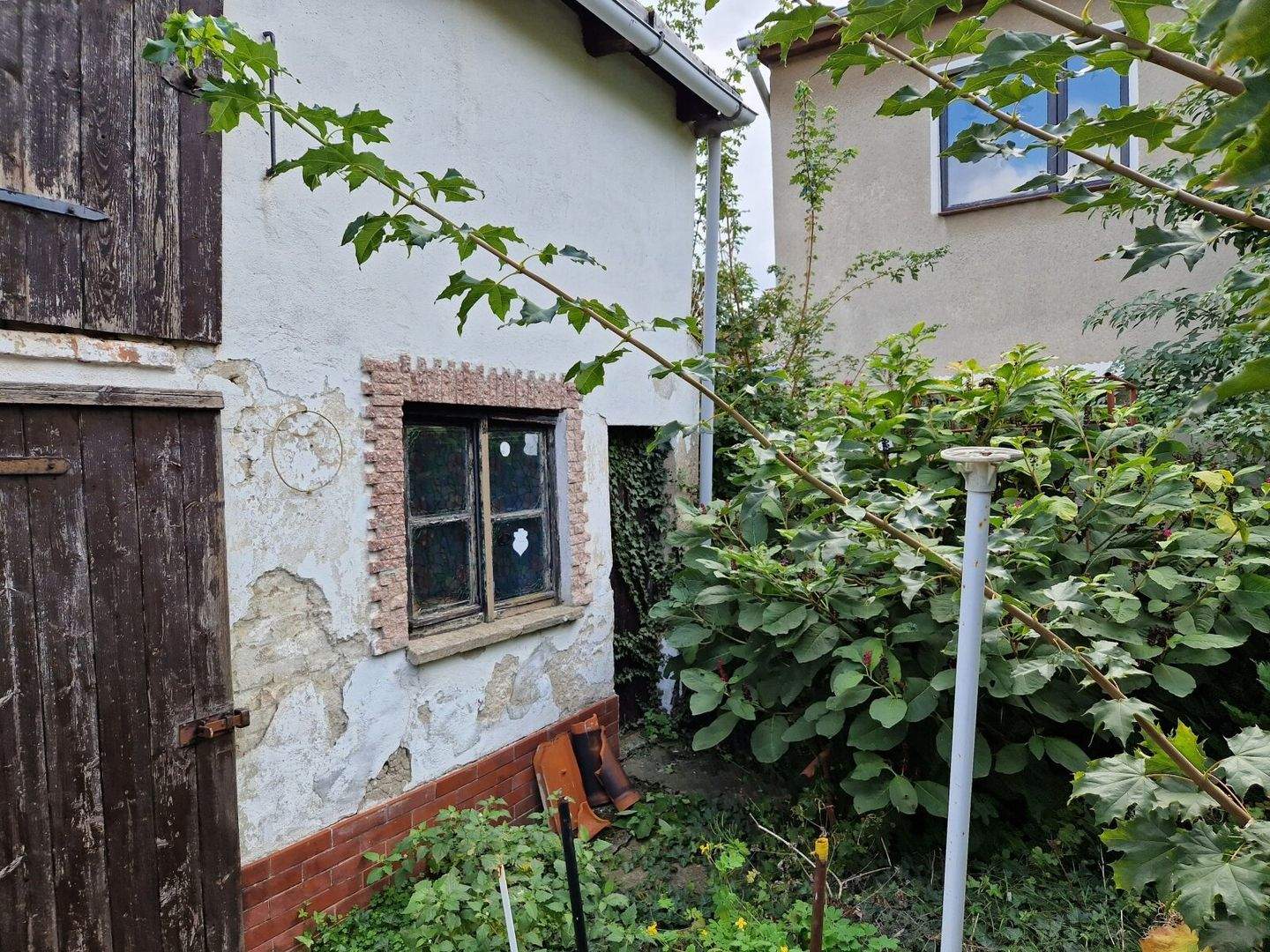 Bild 5