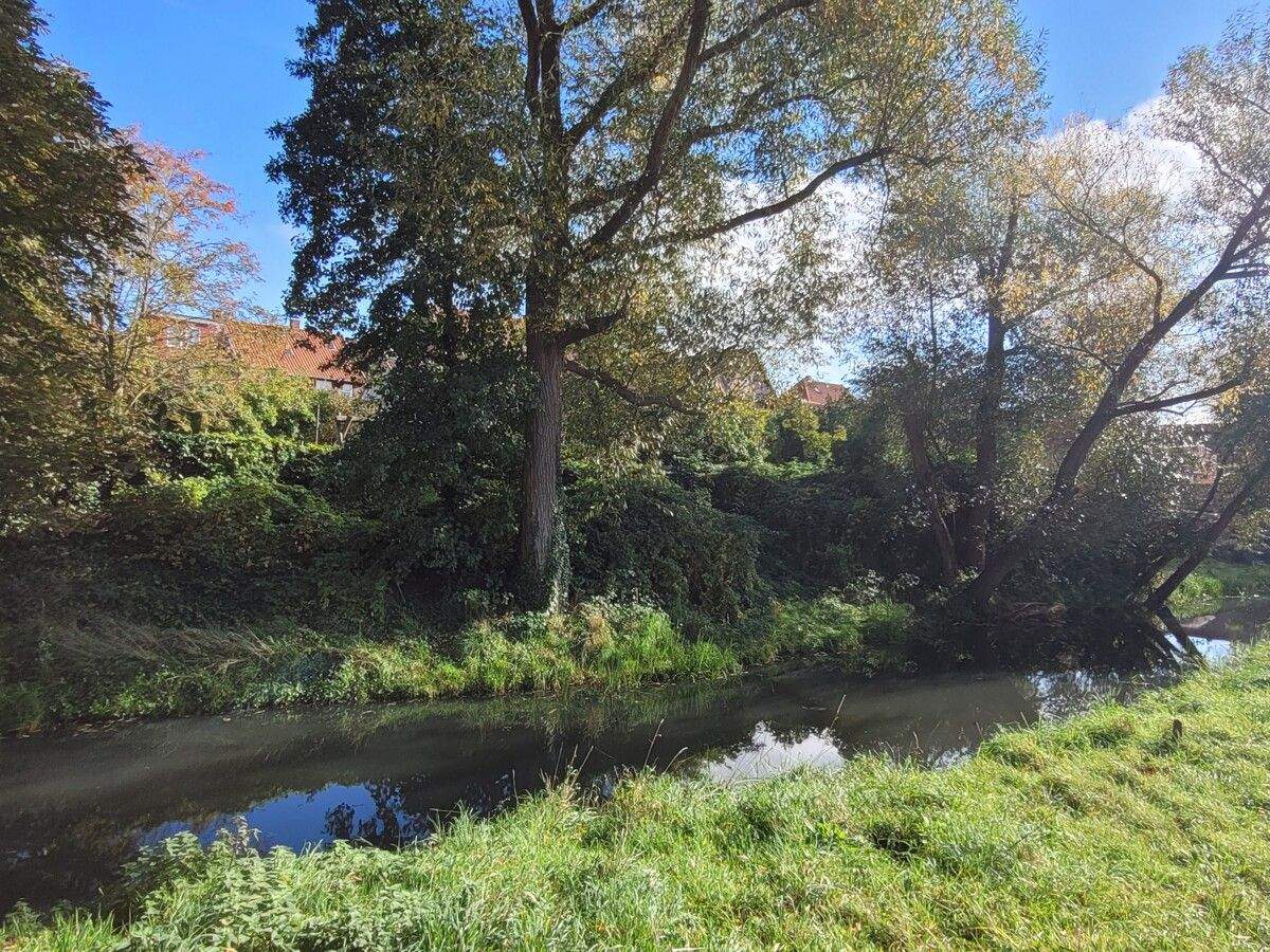 Bild 10