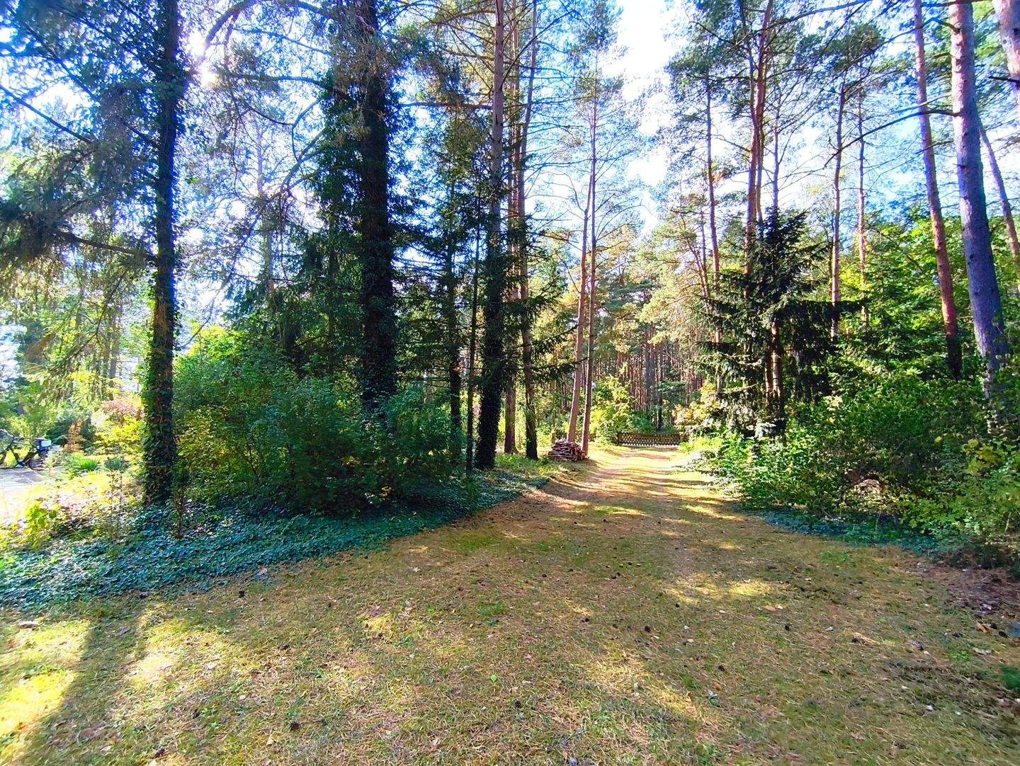 Bild 5