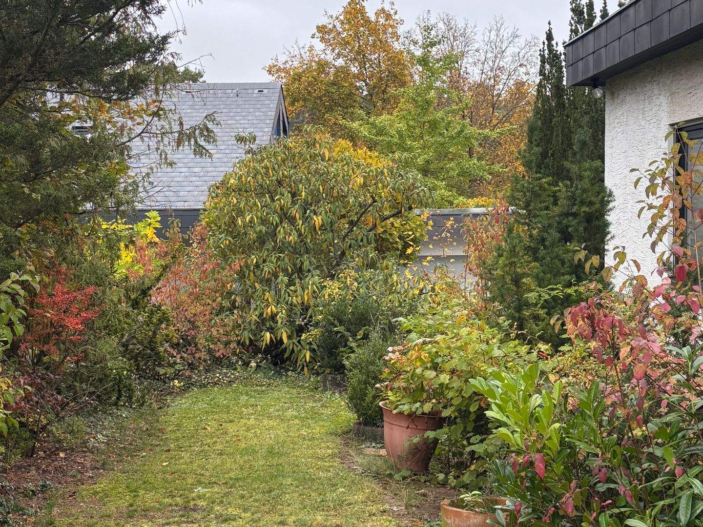 Bild 11