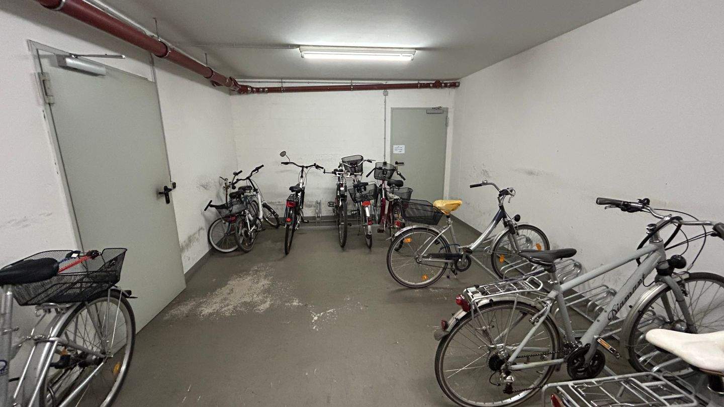 Bild 11