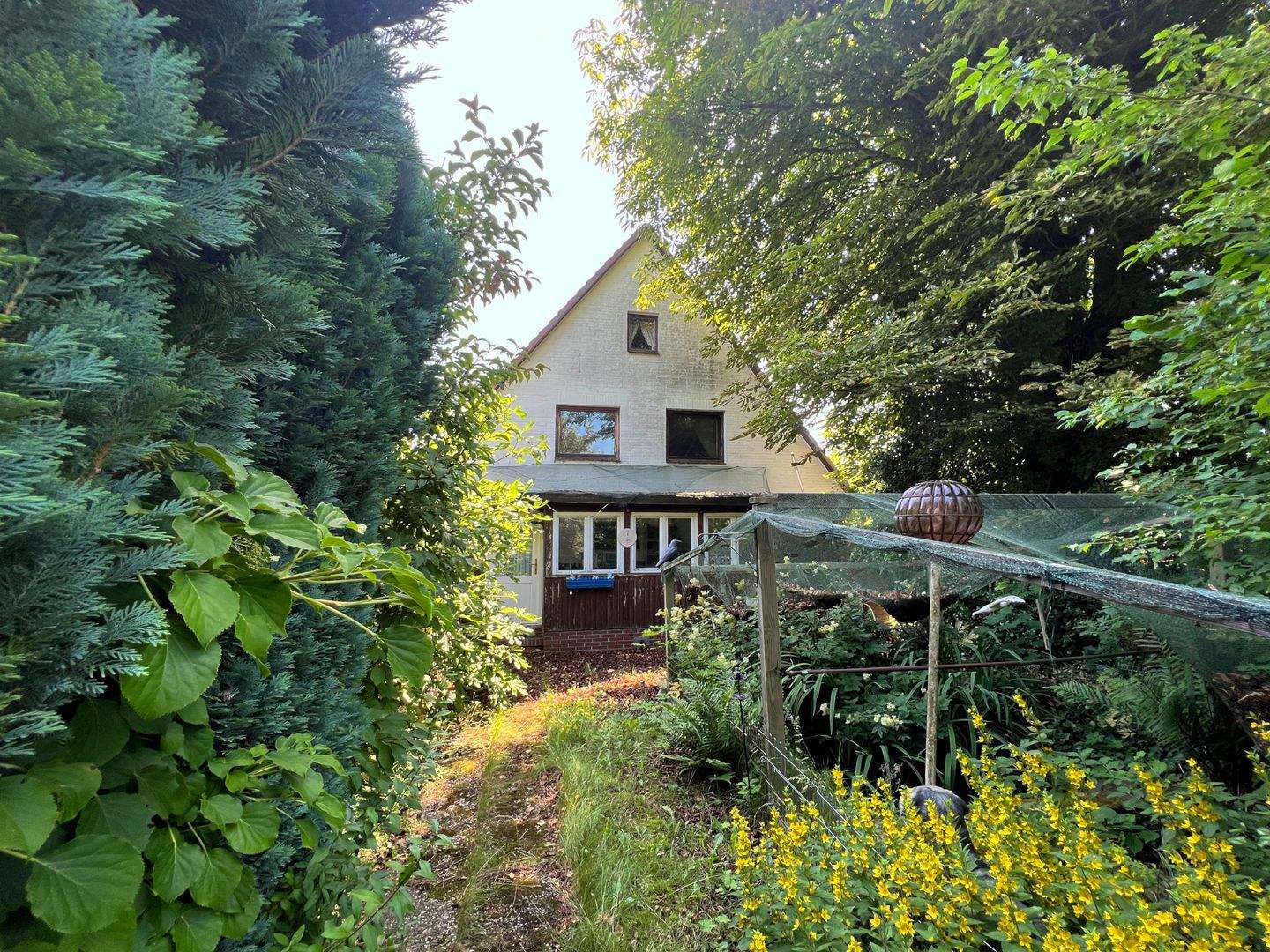 Bild 5