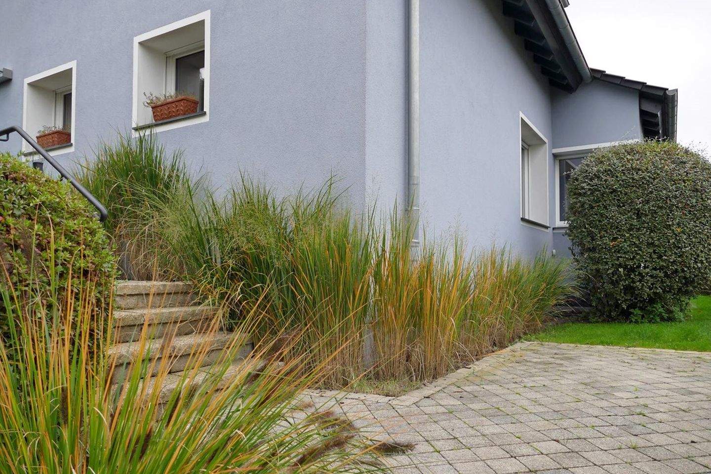 Bild 8