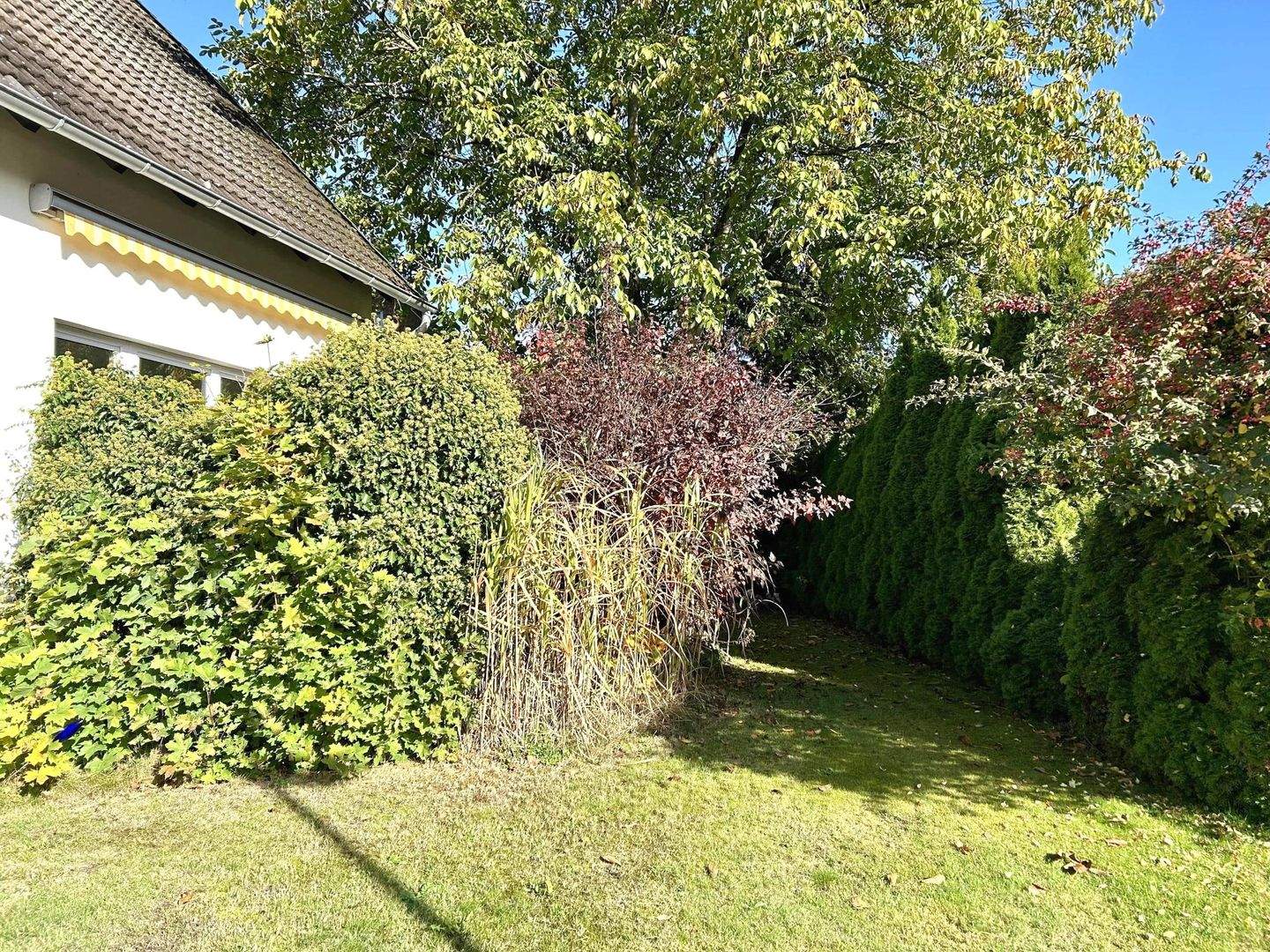 Bild 10