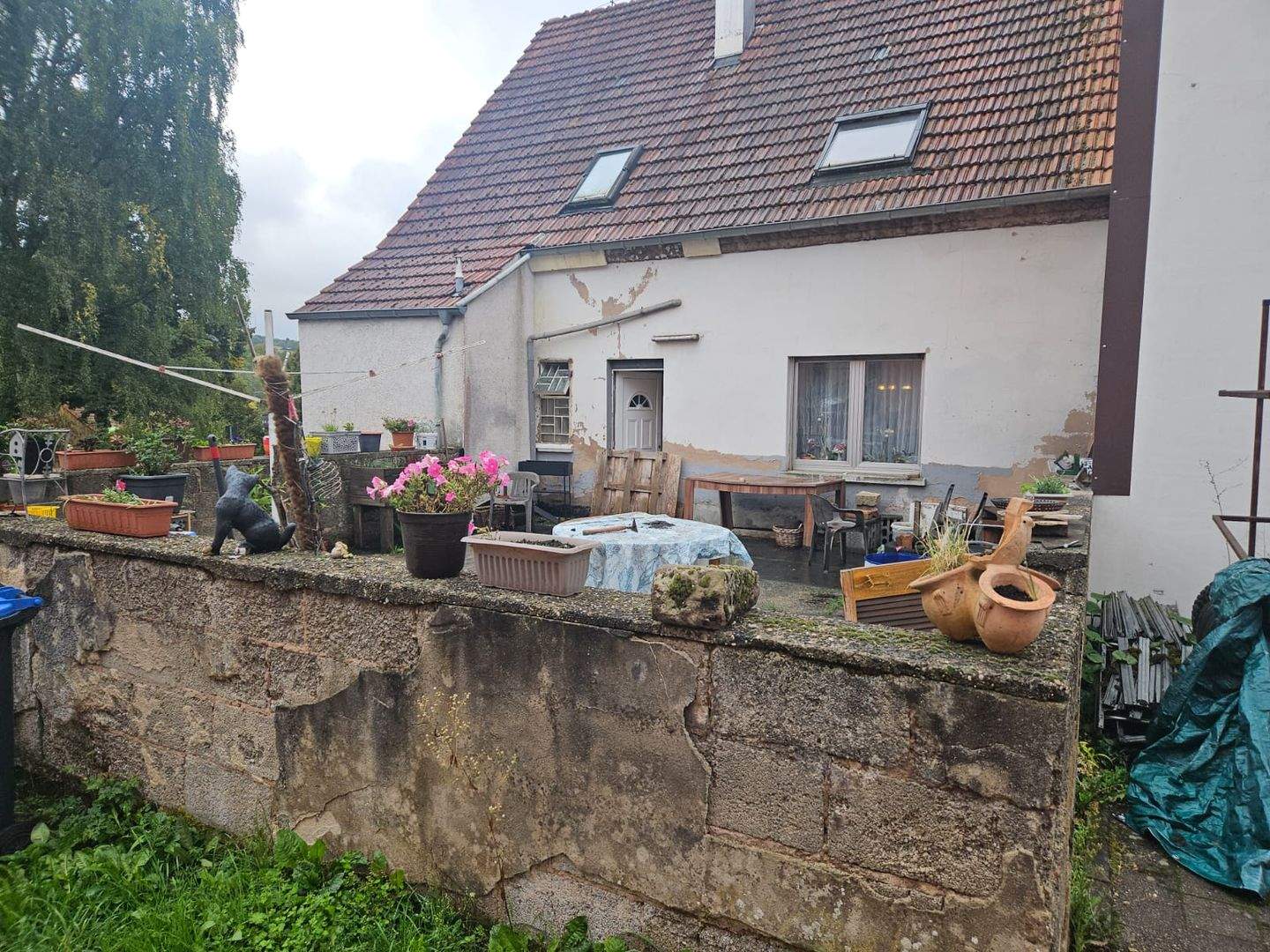 Bild 5