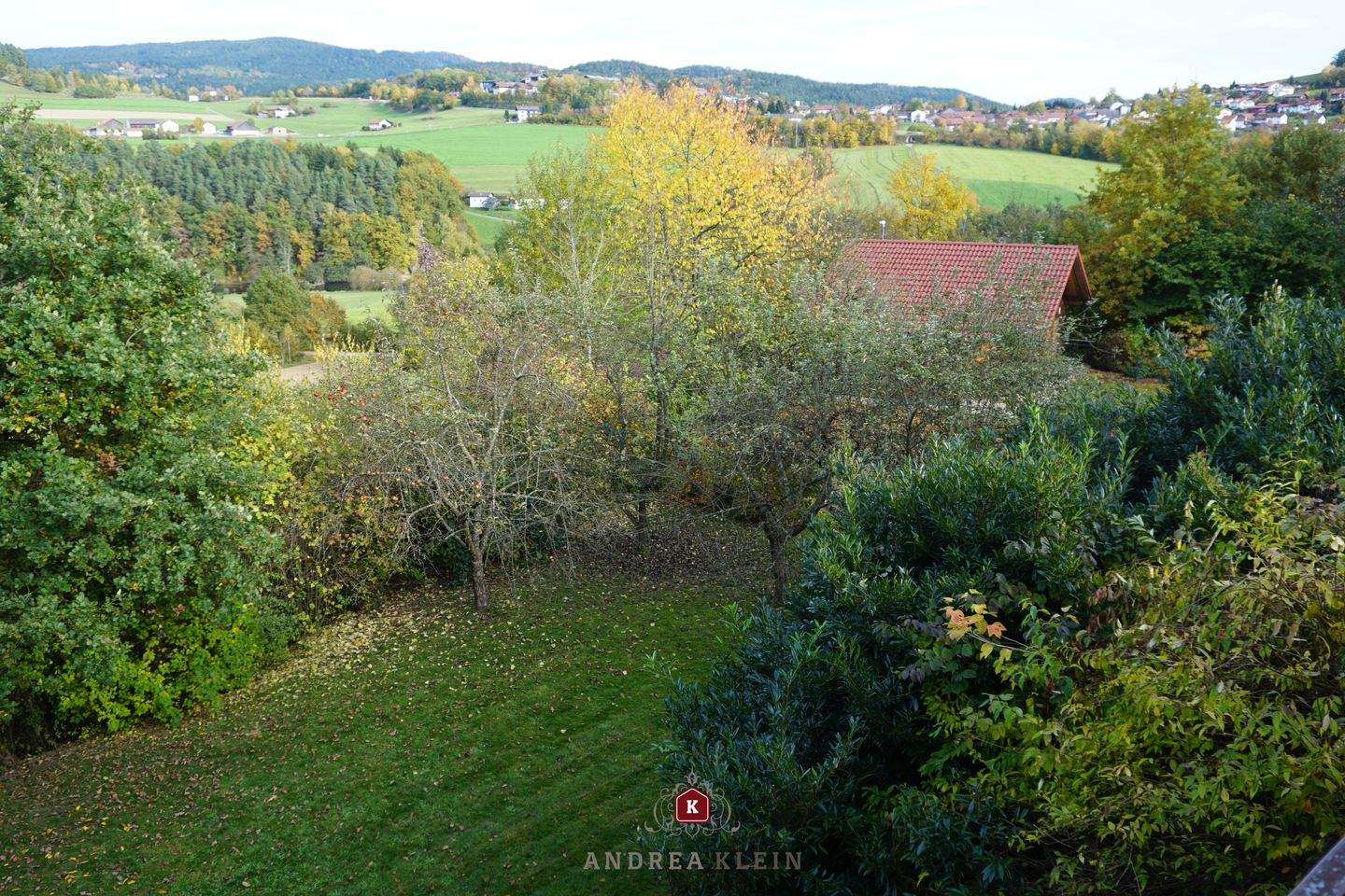 Bild 11