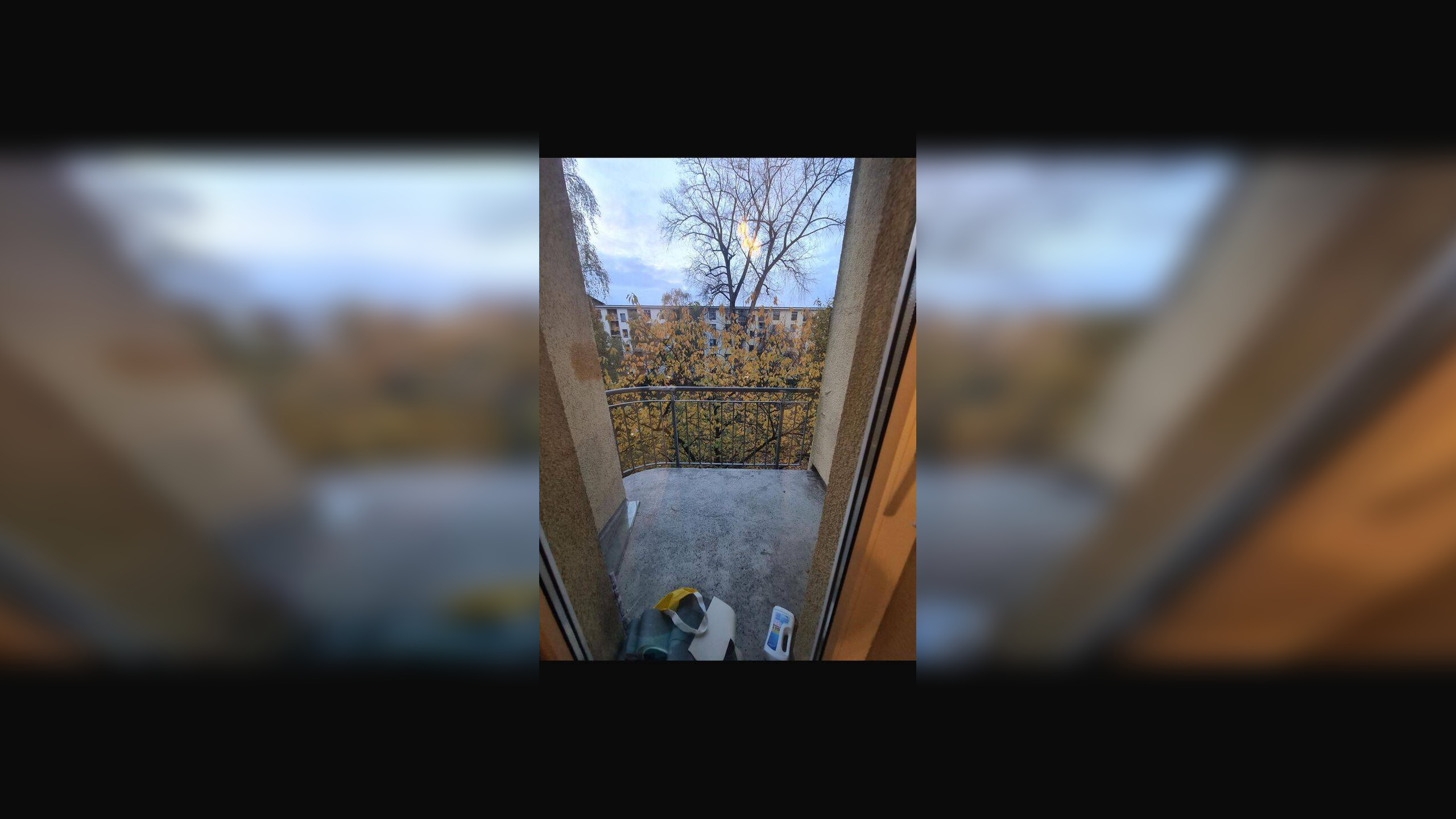 image-72834895
