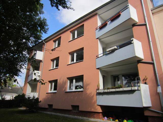 image-72835303