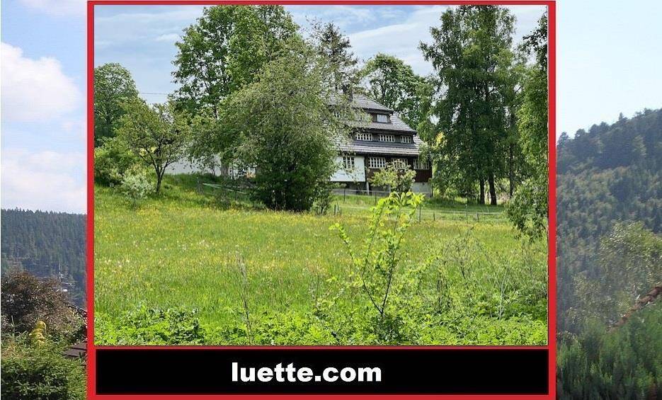 Dachsberg, exkl. saniertes Landhaus, sep. Büro, Studio, 2 Gar., Areal ca. 8.000m², fussläufig Klosterweiher, 6km St. …, 79875 Dachsberg (Südschwarzwald)