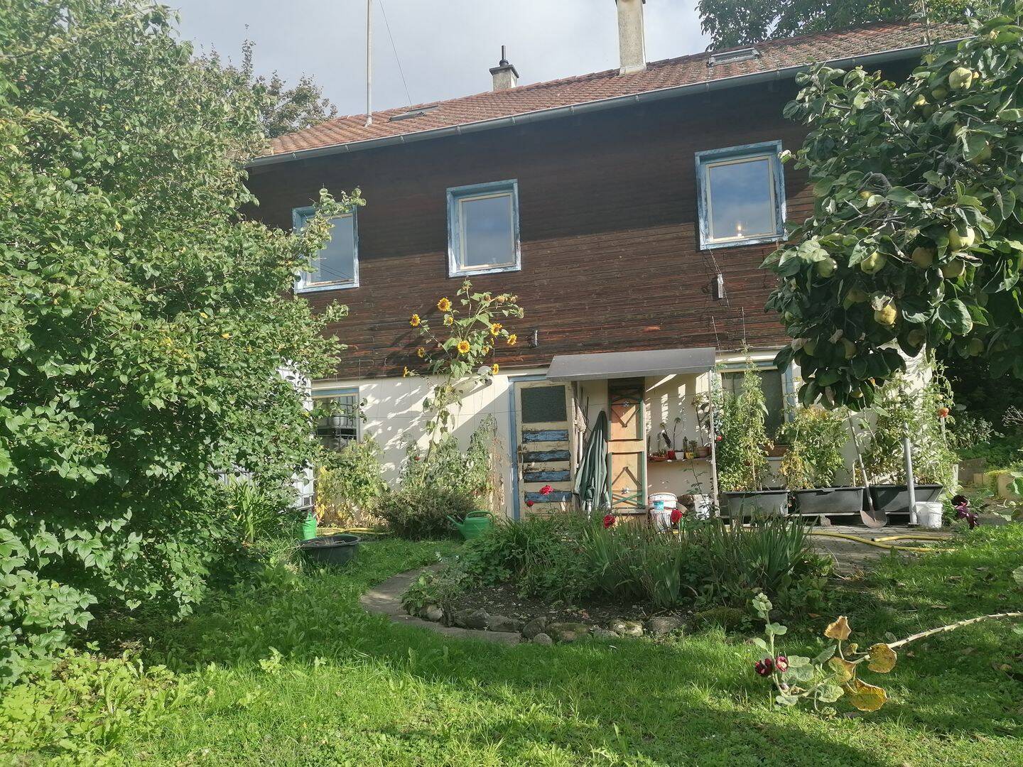 Freistehendes Einfamilienhaus mit bezaubernden großen Garten in Salem wartet auf große Familien!, 88682 Salem