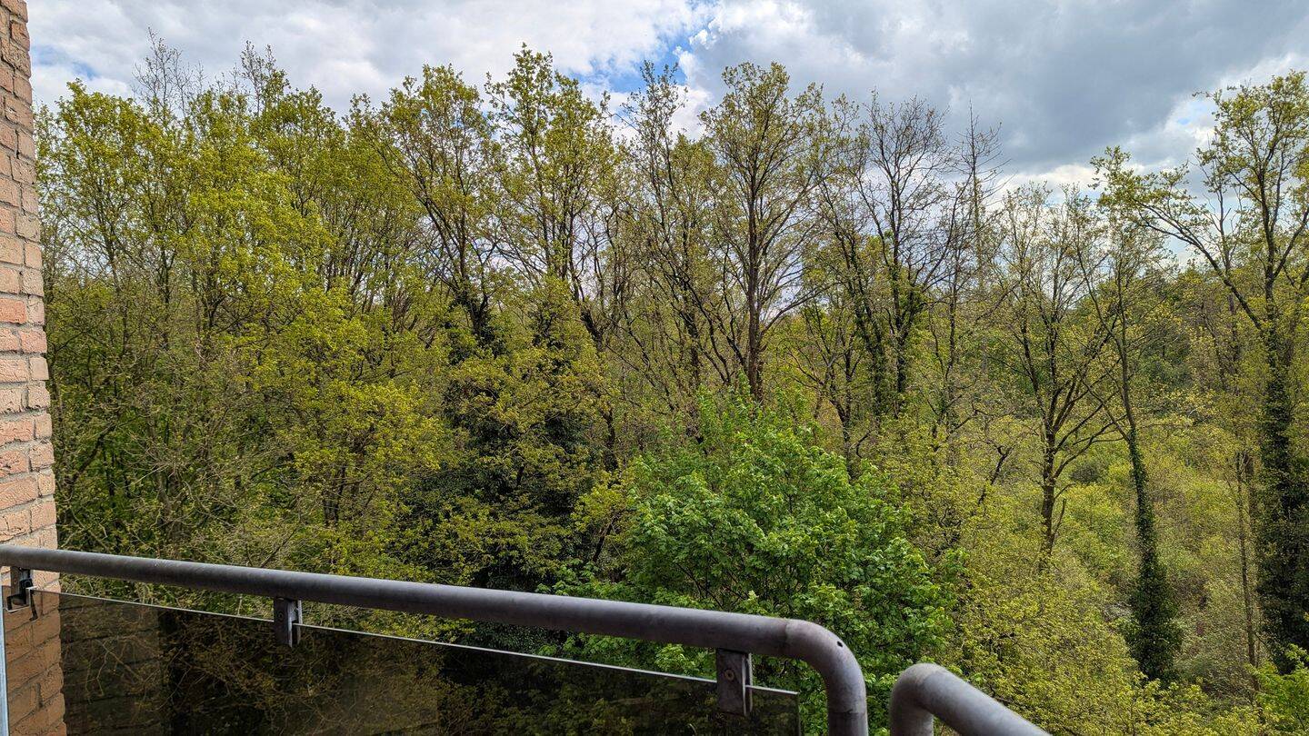 1 Zimmer Appartment mit Balkon, Keller und Stellplatz – keine Provision, 51427 Bergisch Gladbach