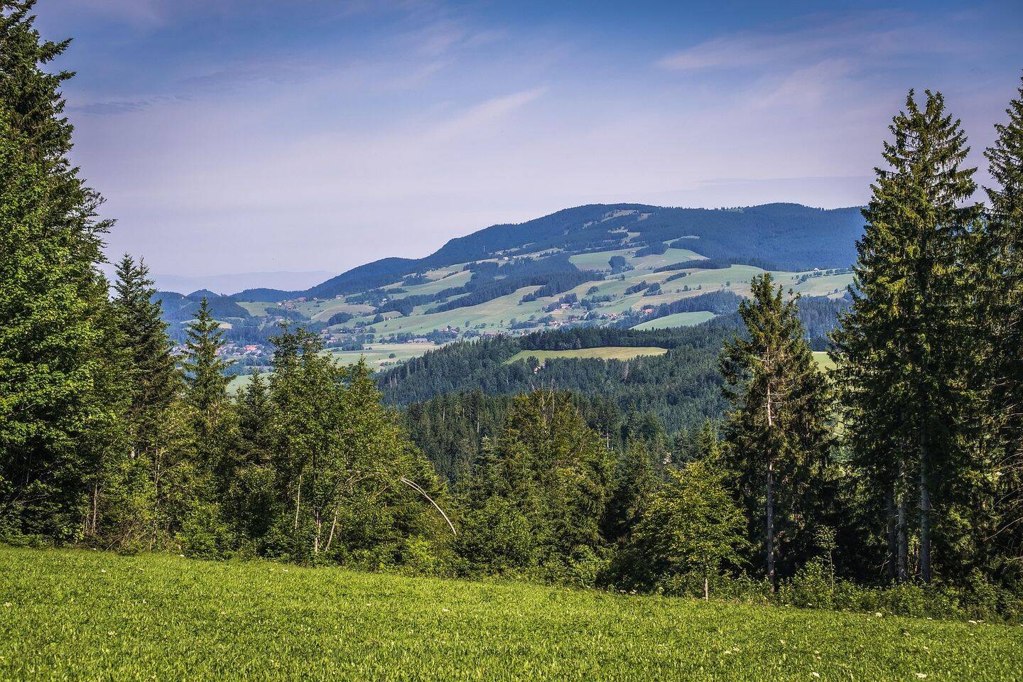 Traumhafter Schwarzwaldhof mit Blick auf Freiburg, 79104 Freiburg im Breisgau