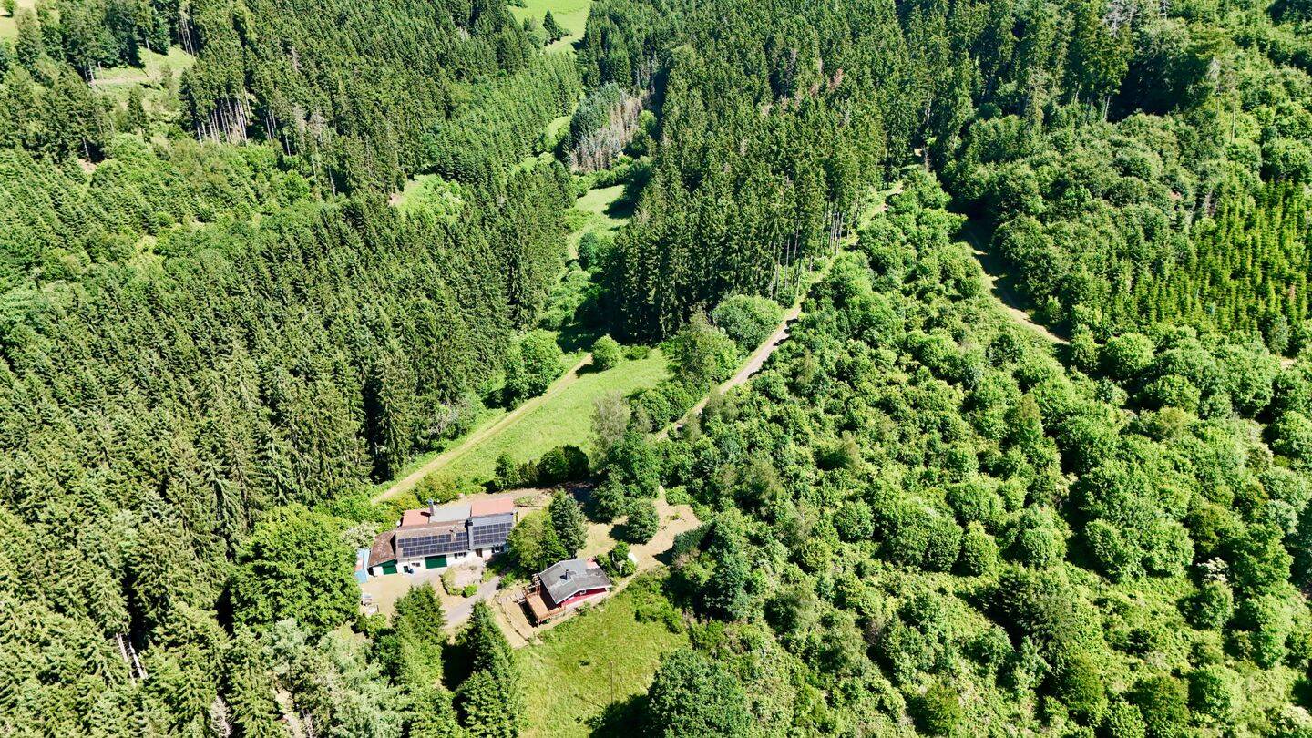 Seltenes Juwel, in einmaliger Alleinlage mitten im Wald, autarkes Einfamilienhaus mit Nebengebäuden und ein gemütliches Holzhaus auf großem Grundstück, 54636 Bettingen
